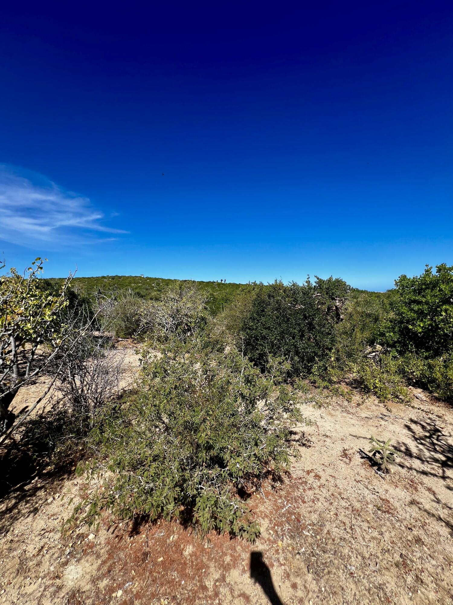 Lot D, Boca del Salado