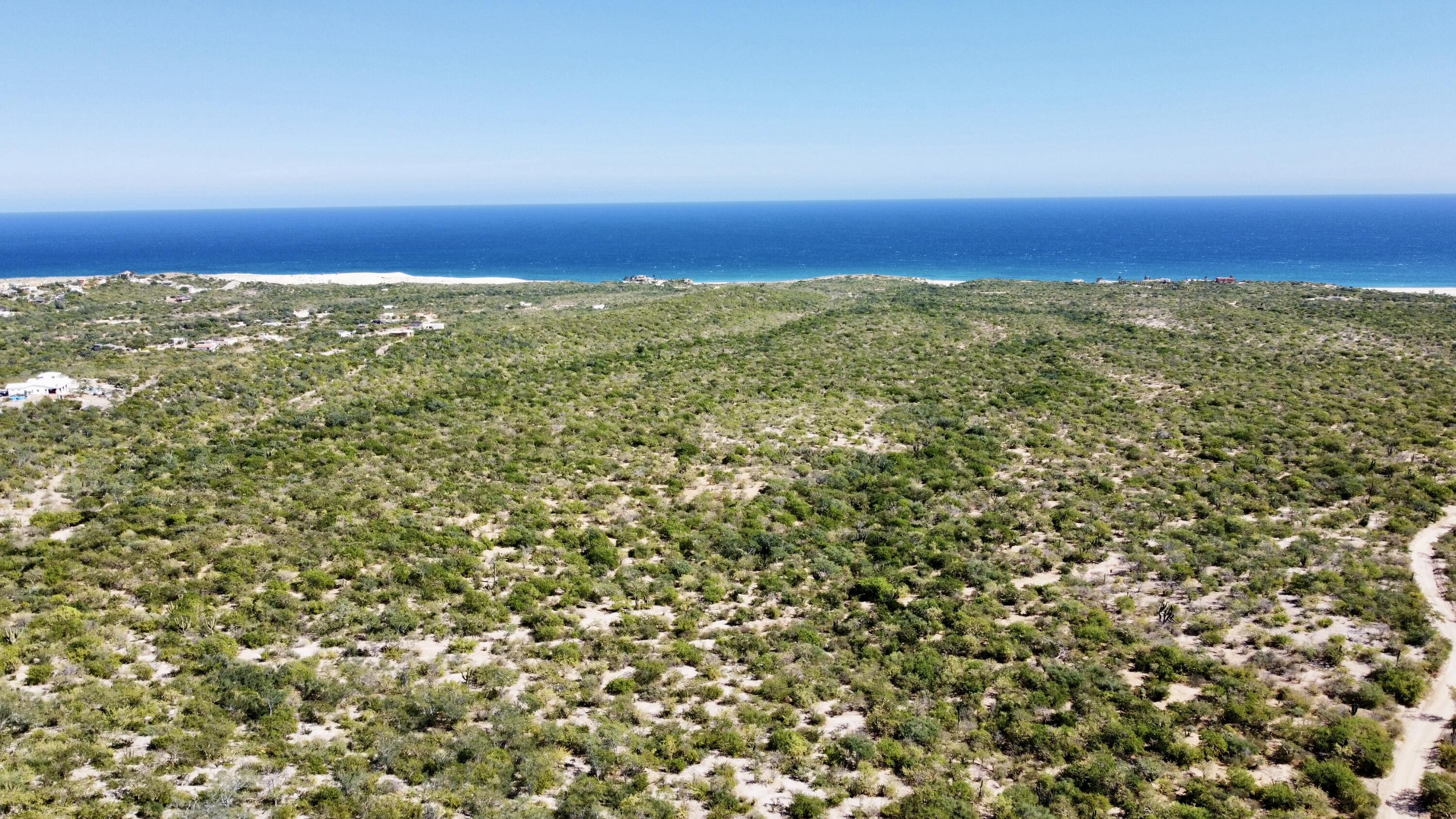Lot D, Boca del Salado