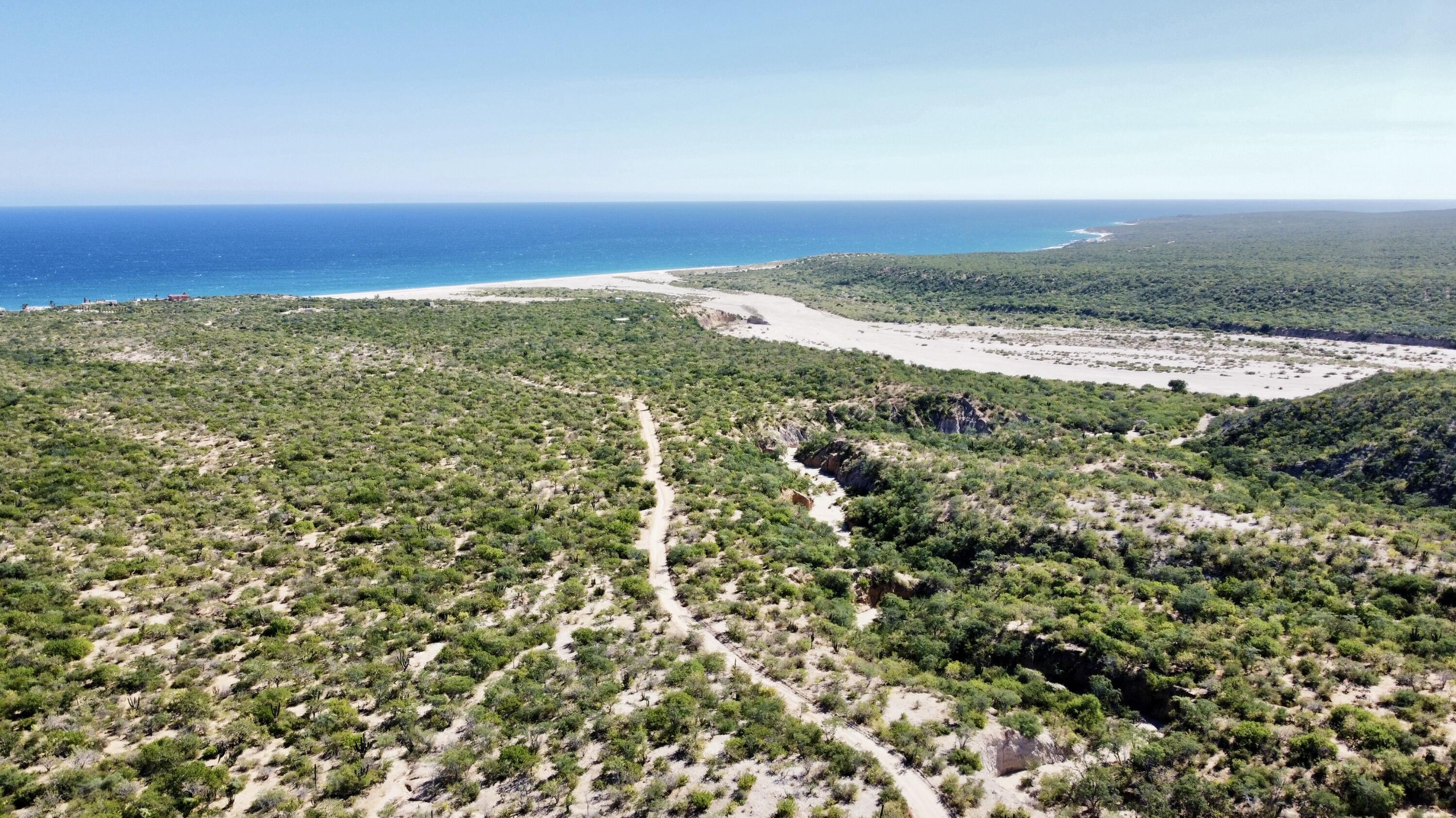 Lot D, Boca del Salado
