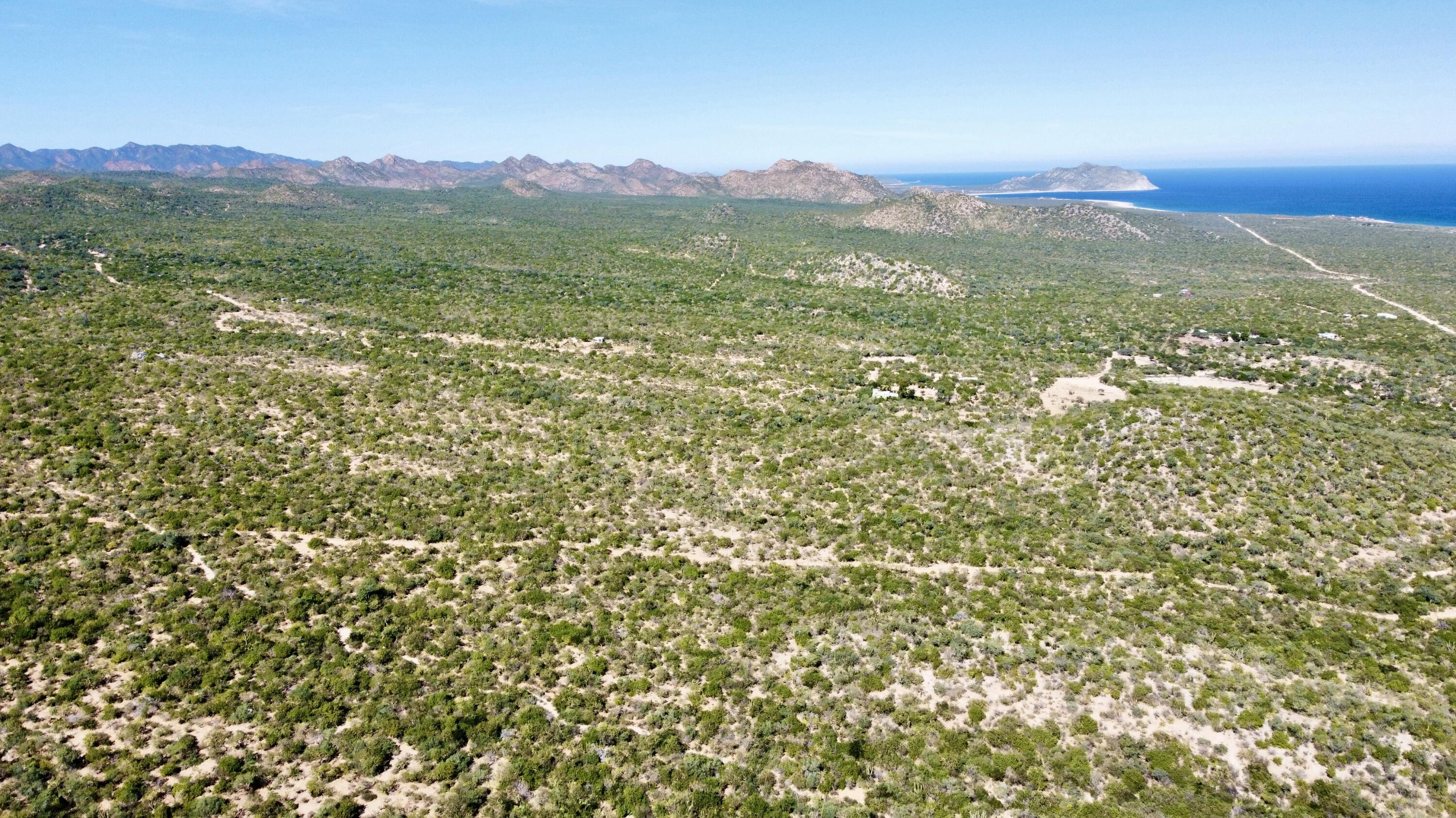 Lot D, Boca del Salado