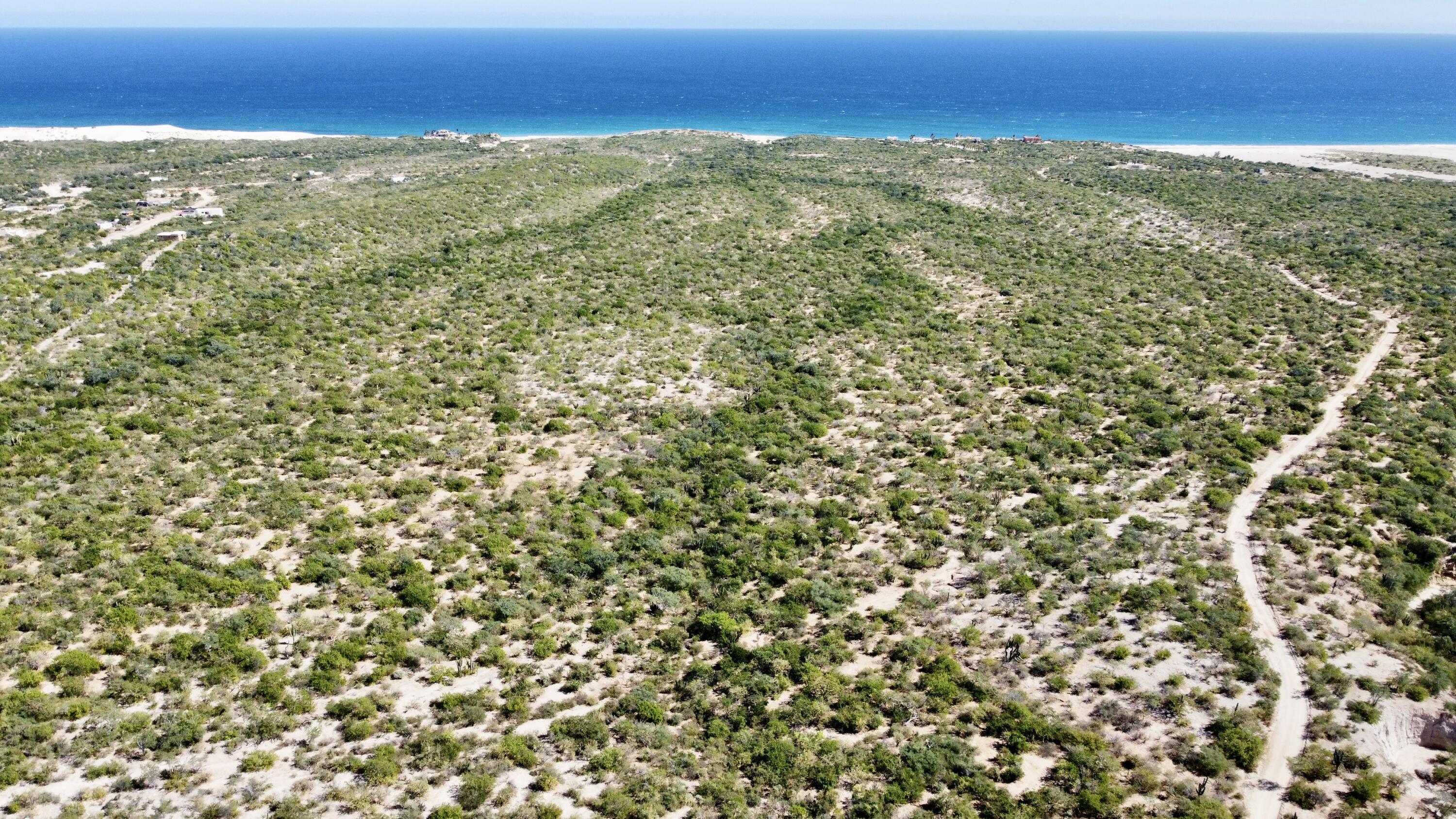 Lot D, Boca del Salado