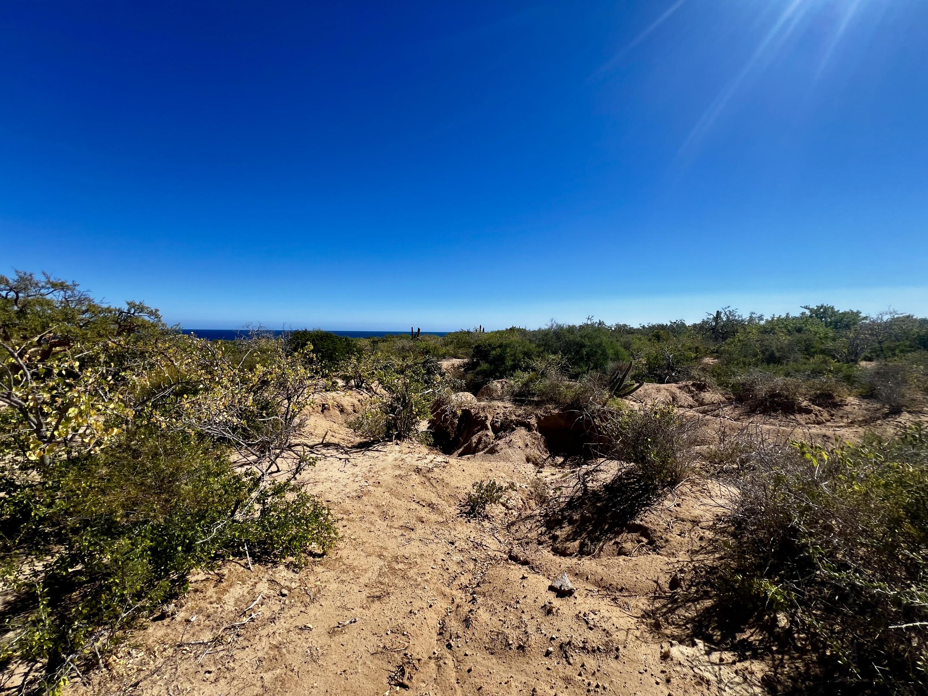 Lot D, Boca del Salado