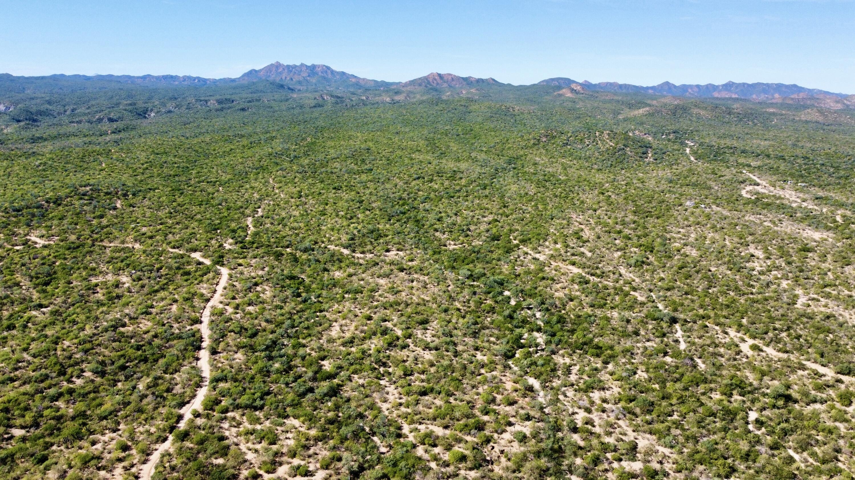 Lot D, Boca del Salado