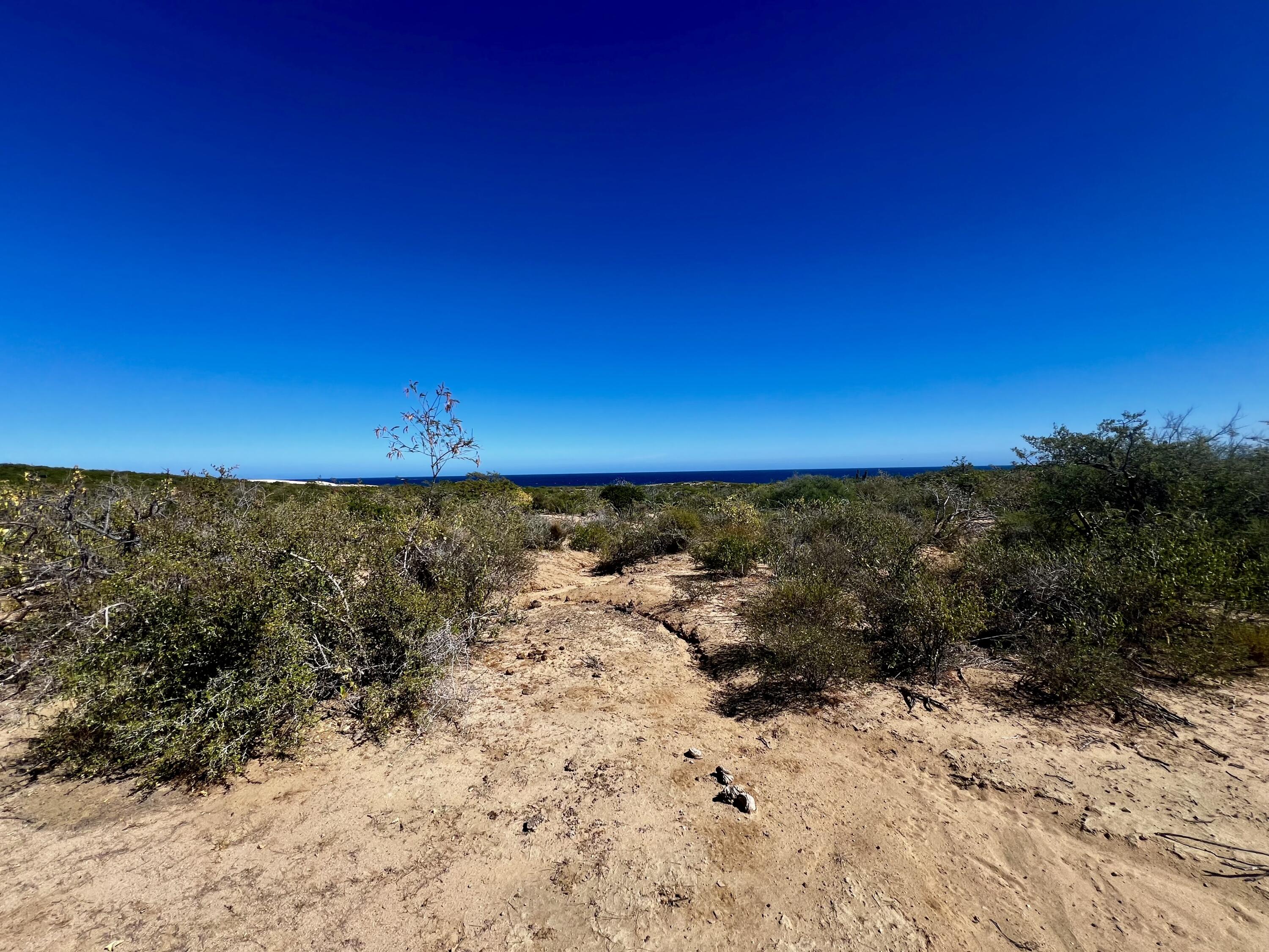Lot D, Boca del Salado