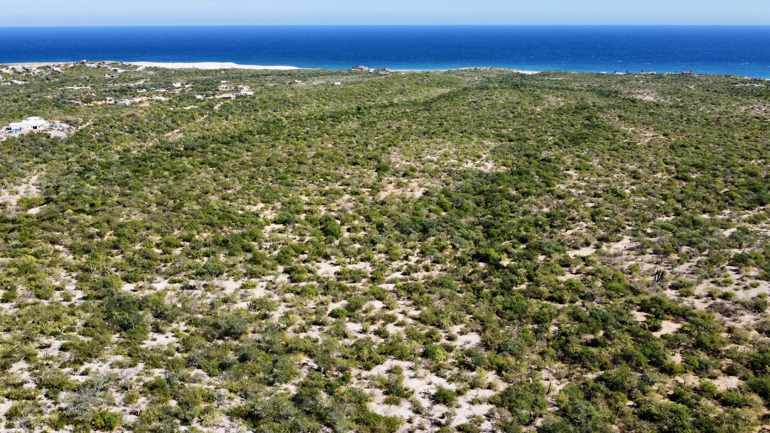 Lot D, Boca del Salado