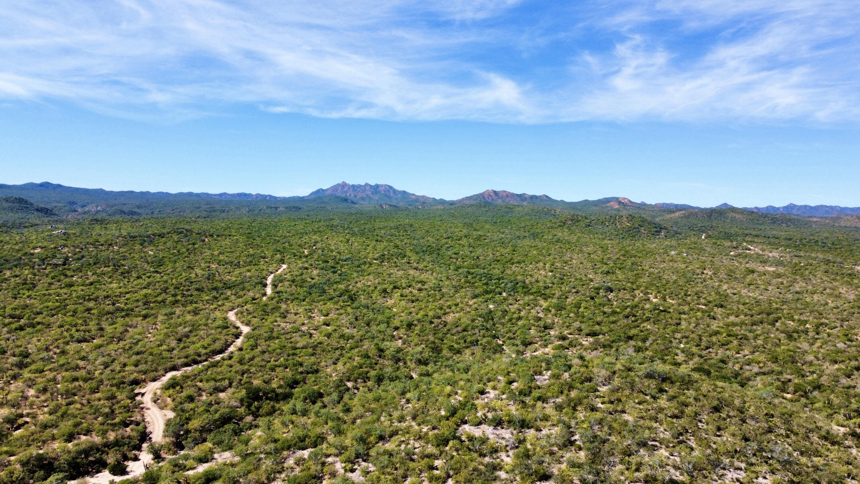 Lot D, Boca del Salado