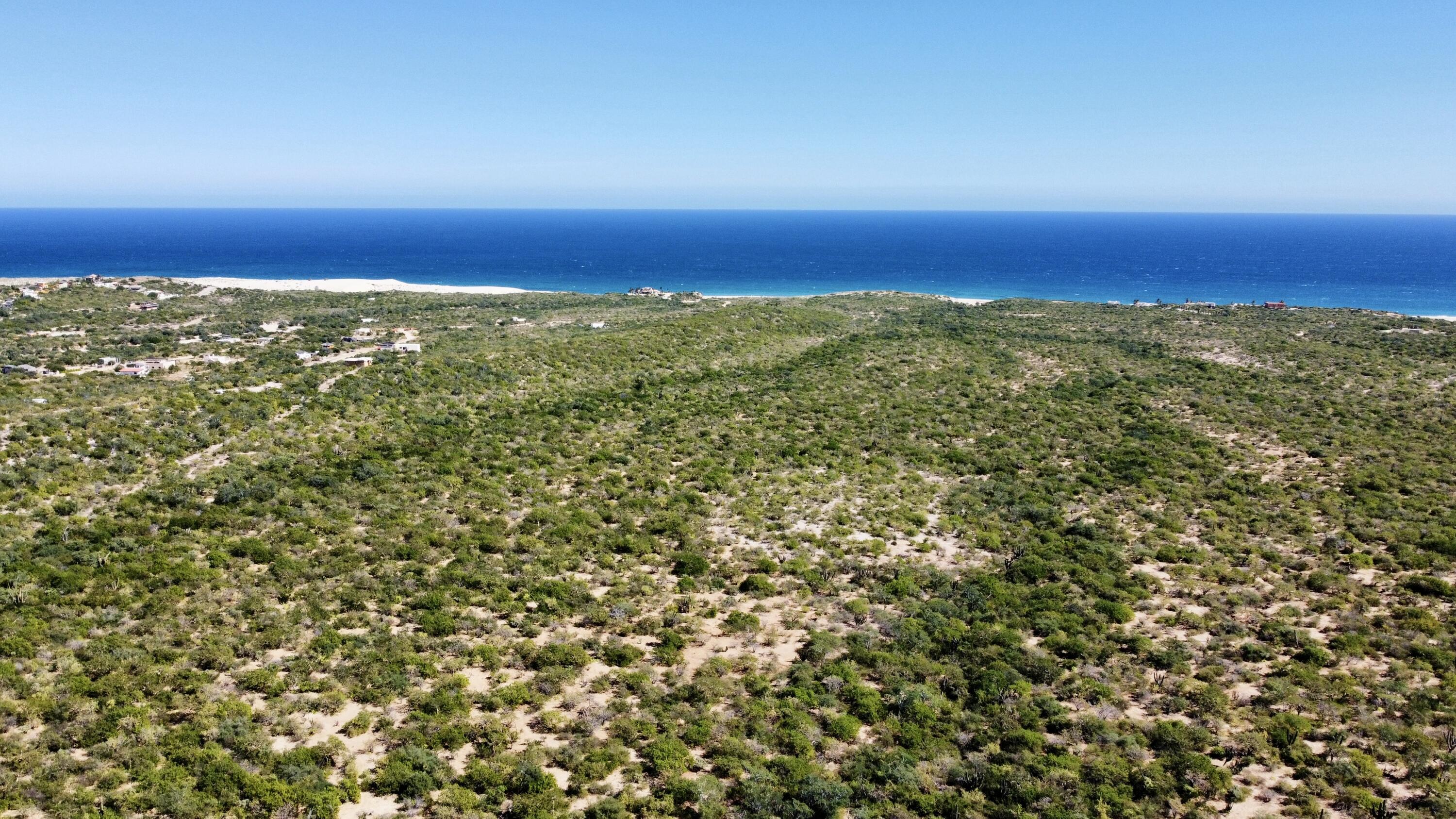 Lot D, Boca del Salado