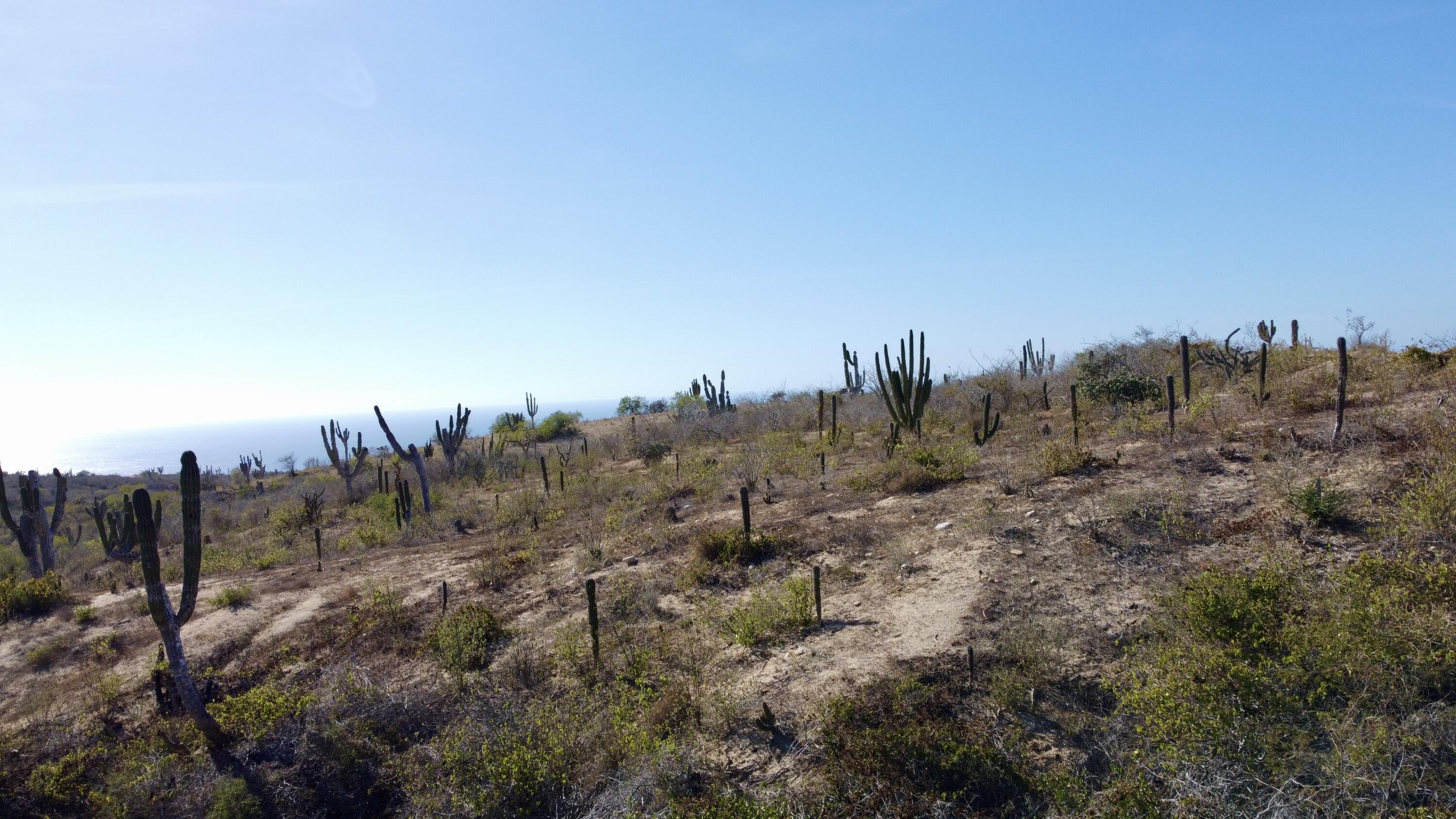 Lot 3 Block 15, Rolling Hills