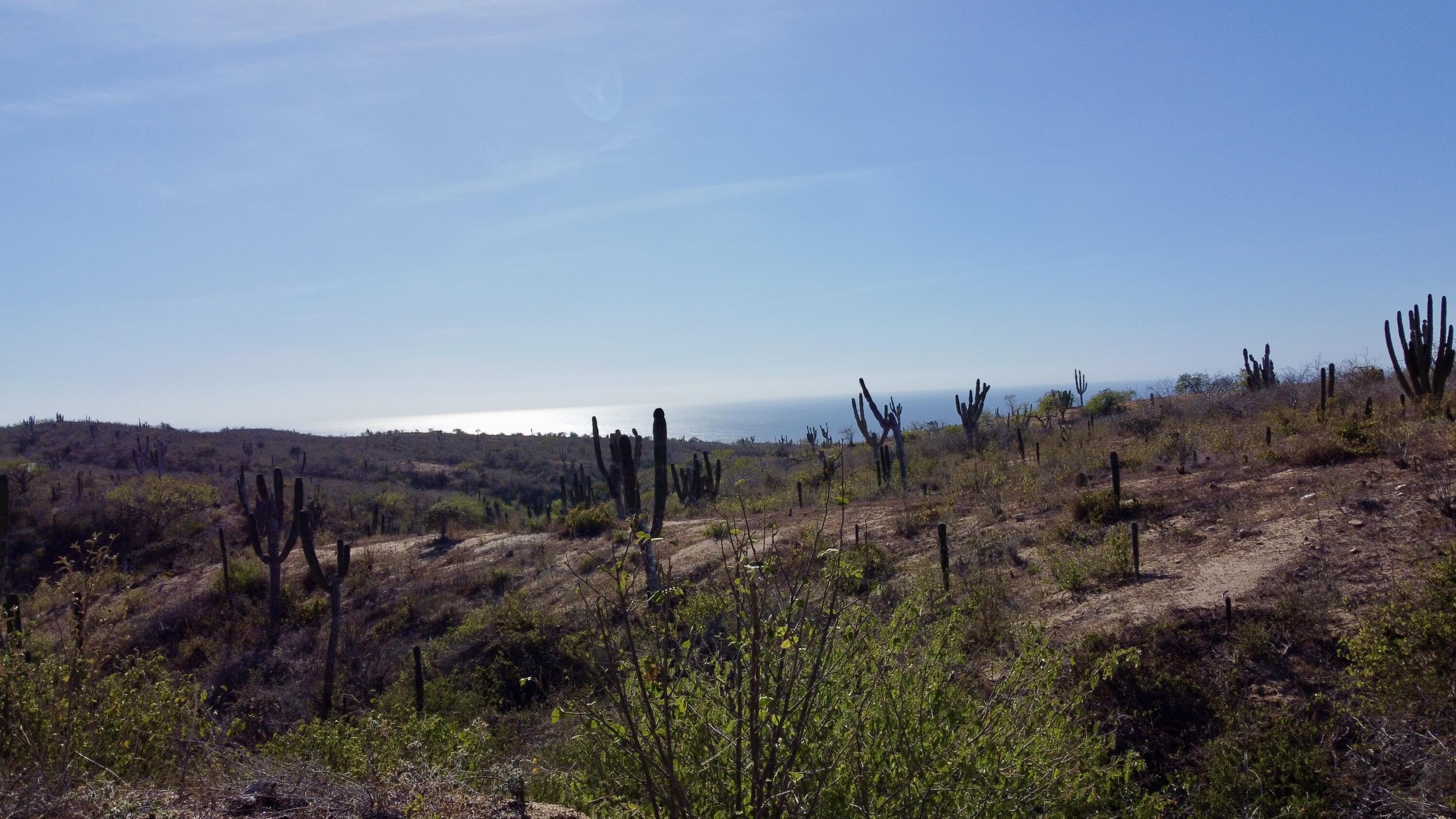 lot 9 block 15, Rolling Hills