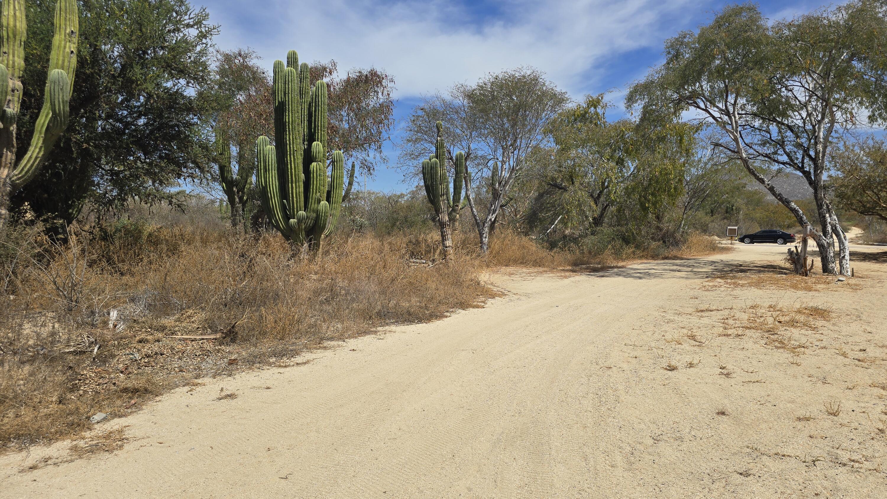 675 Via de Carlos, Cabo Country Club Lot 675