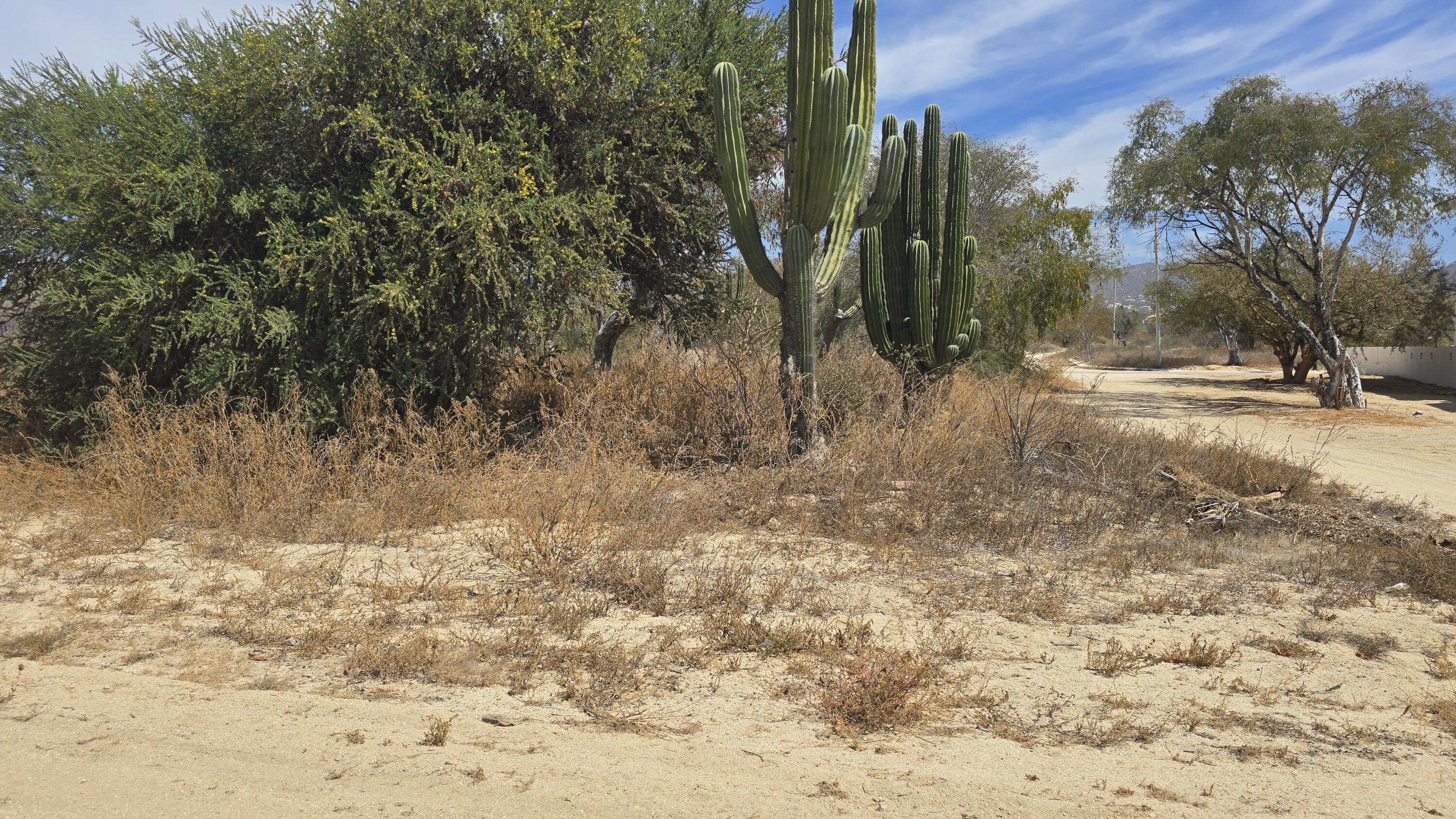 675 Via de Carlos, Cabo Country Club Lot 675