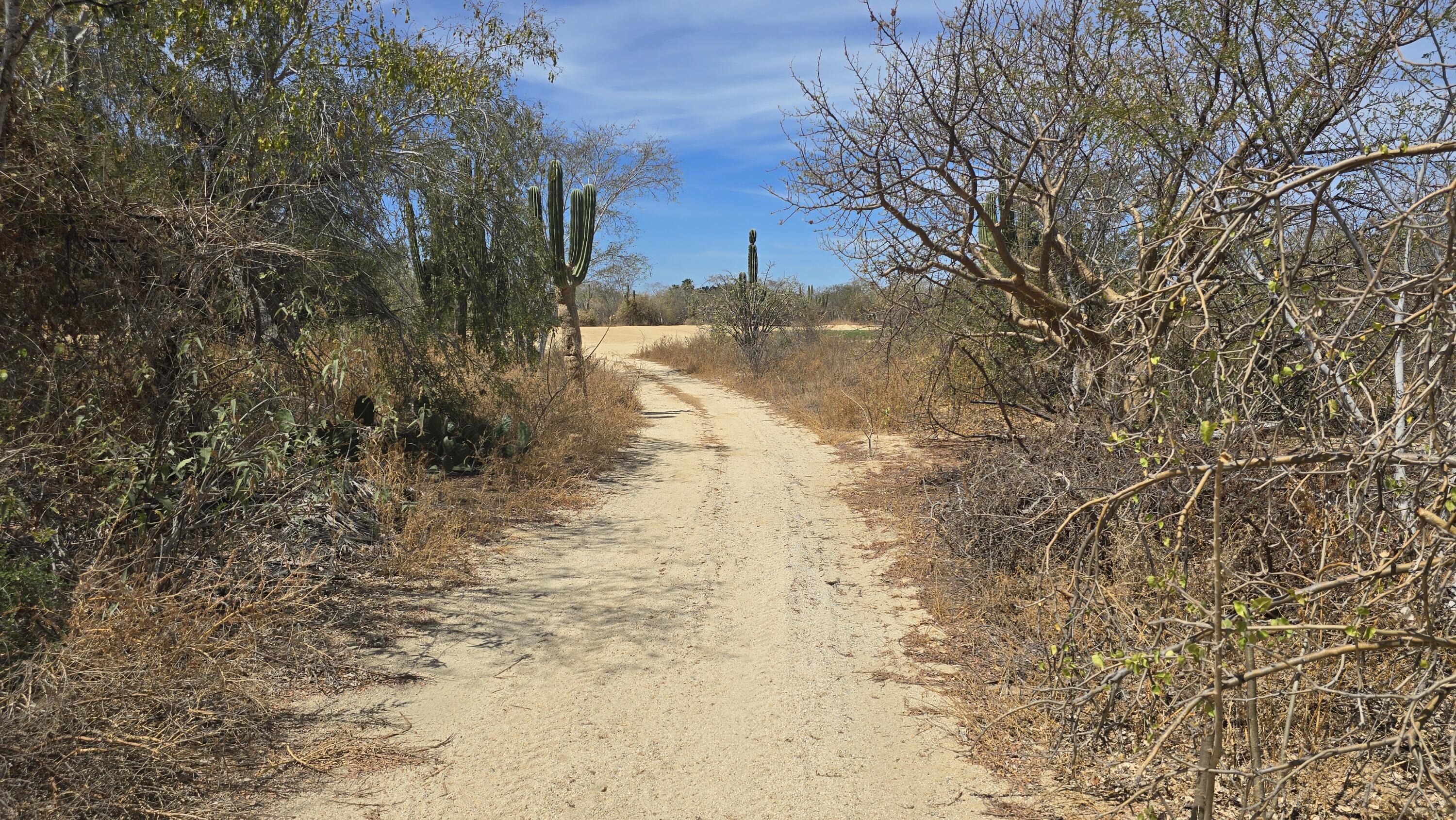 675 Via de Carlos, Cabo Country Club Lot 675