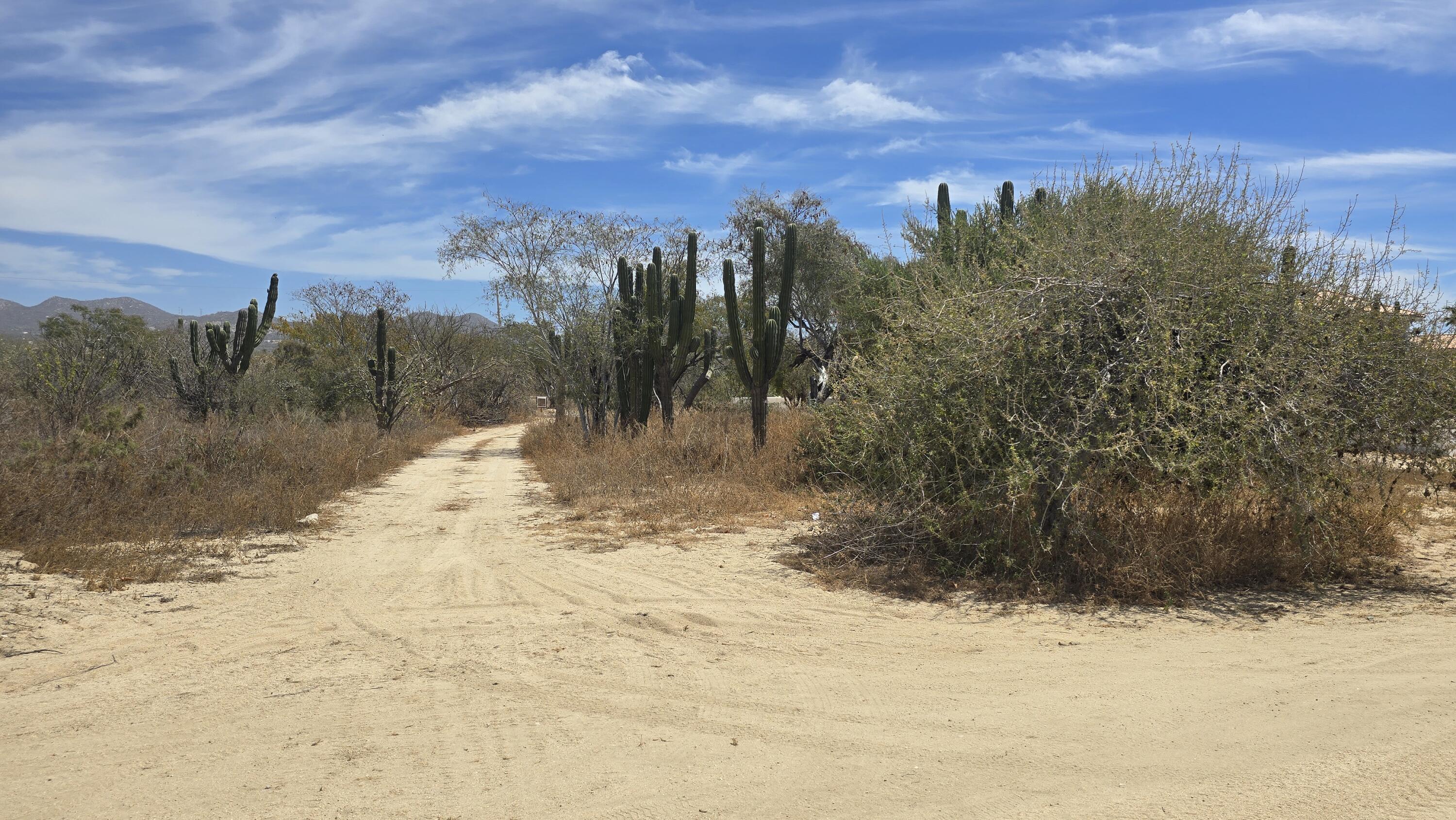 675 Via de Carlos, Cabo Country Club Lot 675