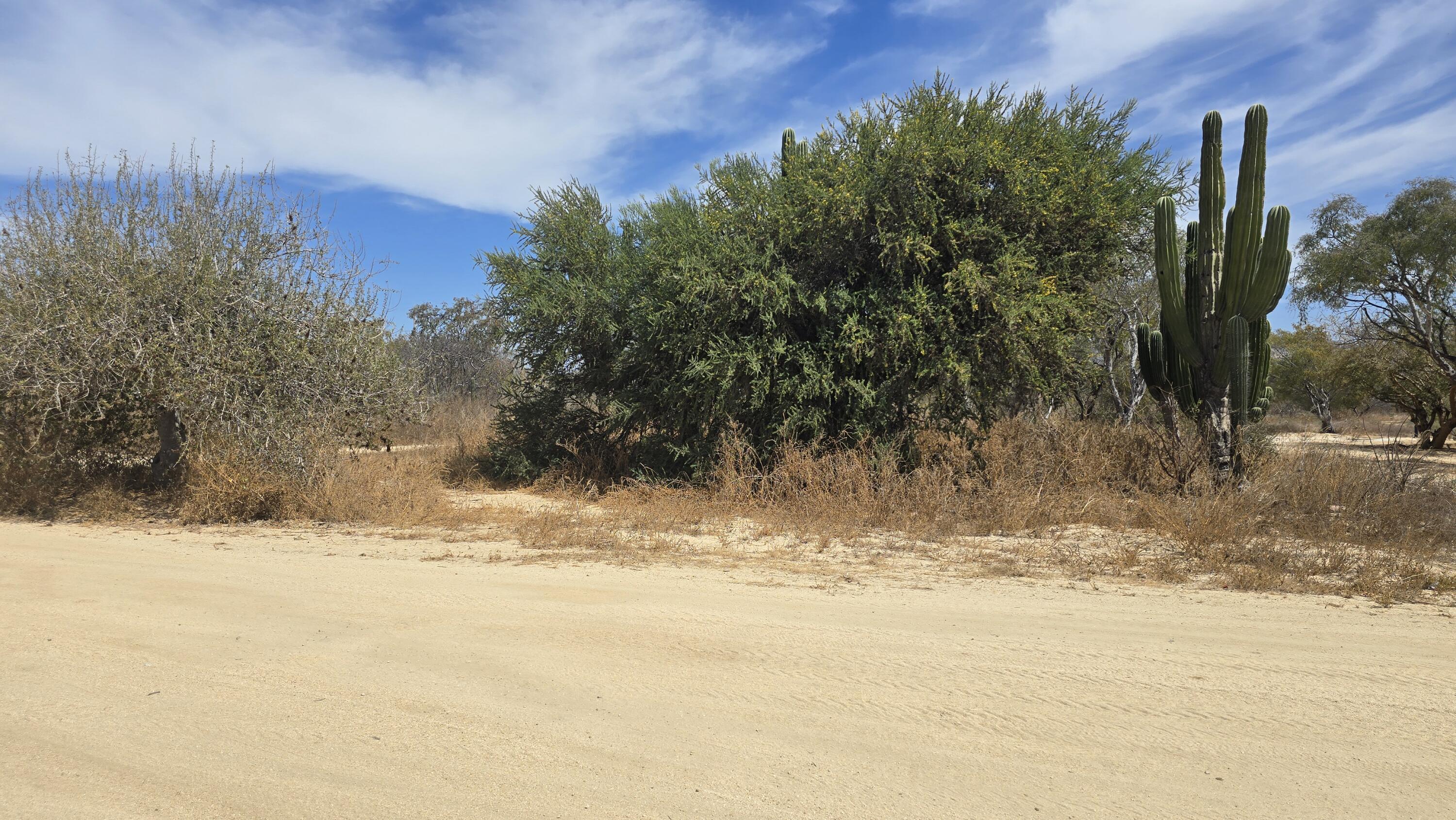 675 Via de Carlos, Cabo Country Club Lot 675