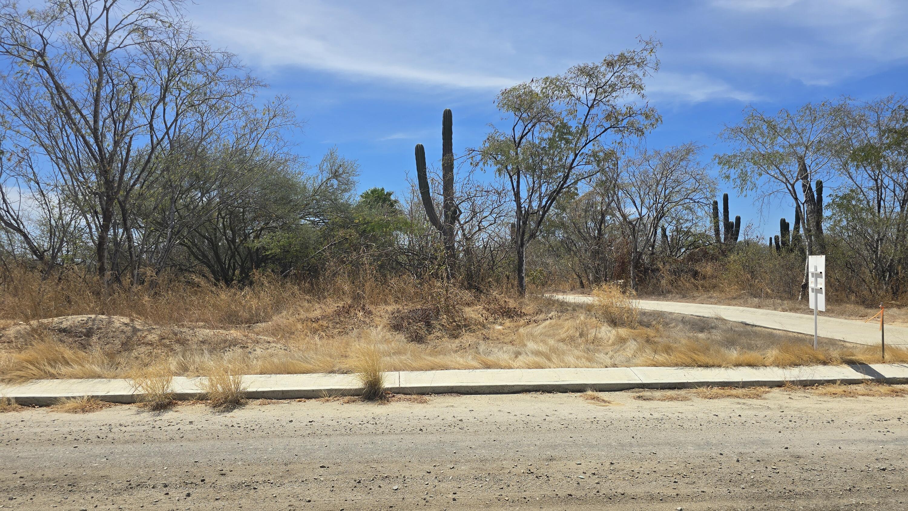 479 Cocotera, Cabo Country Club Lot 479
