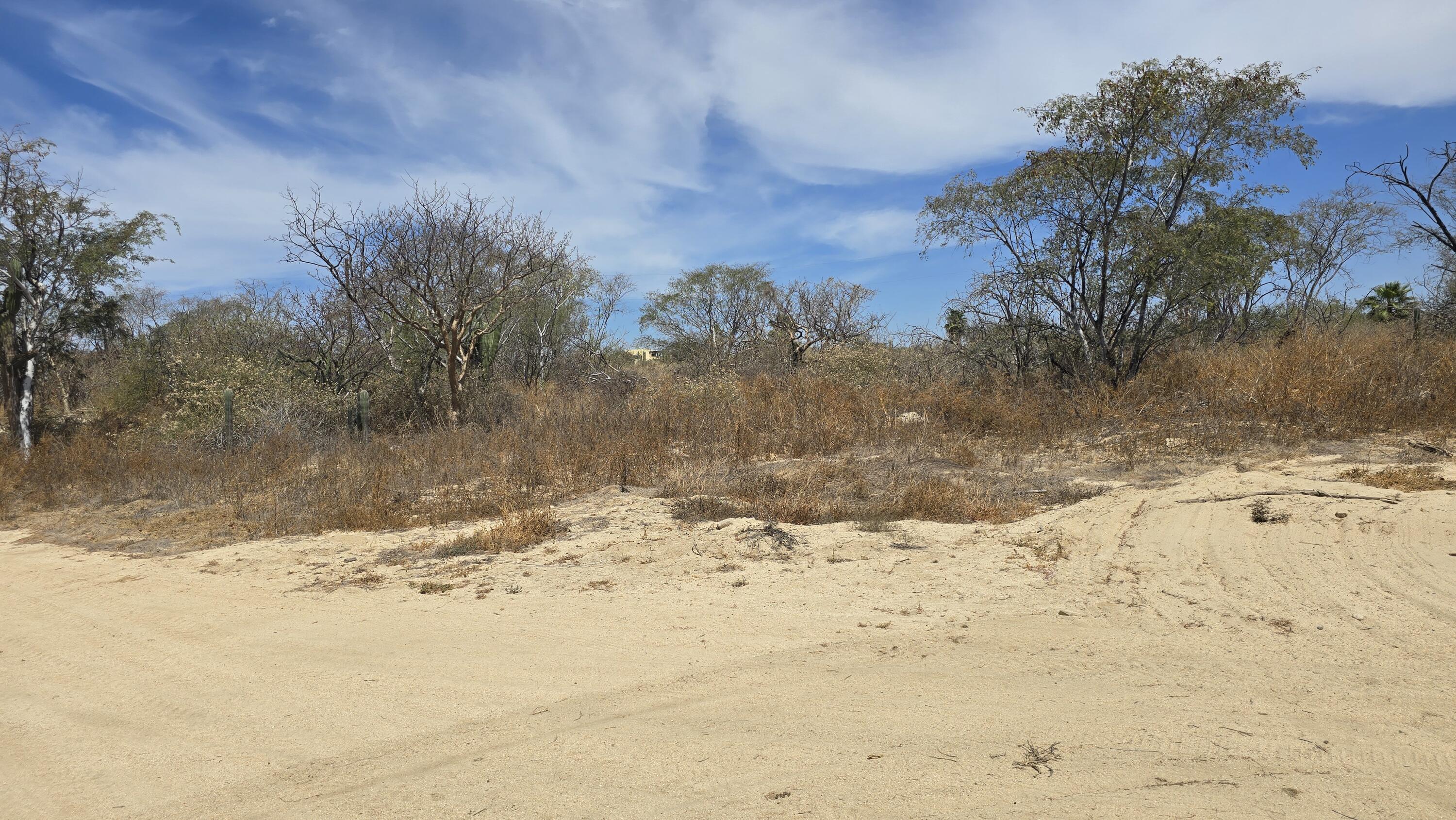 479 Cocotera, Cabo Country Club Lot 479
