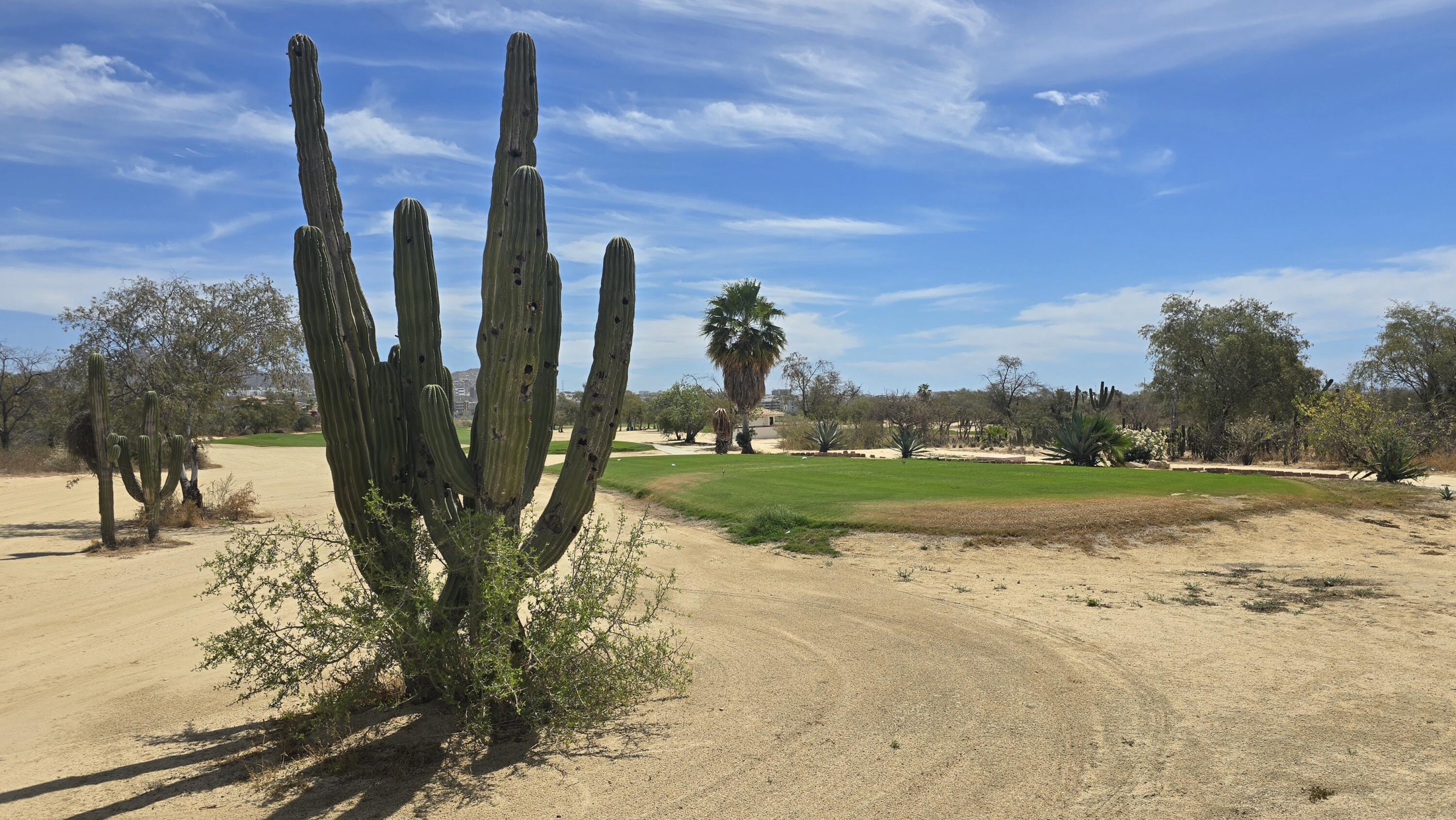 479 Cocotera, Cabo Country Club Lot 479