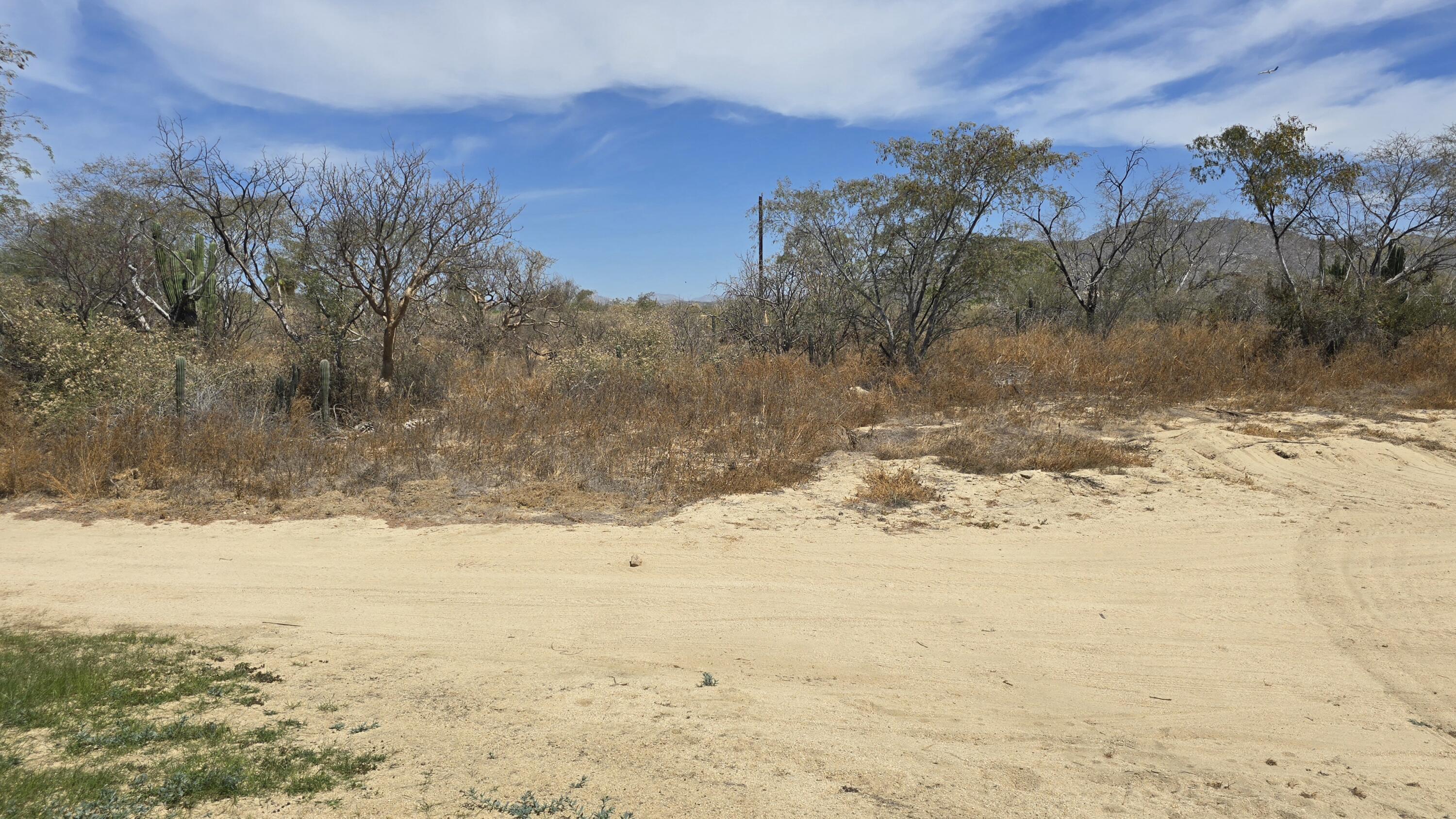 479 Cocotera, Cabo Country Club Lot 479