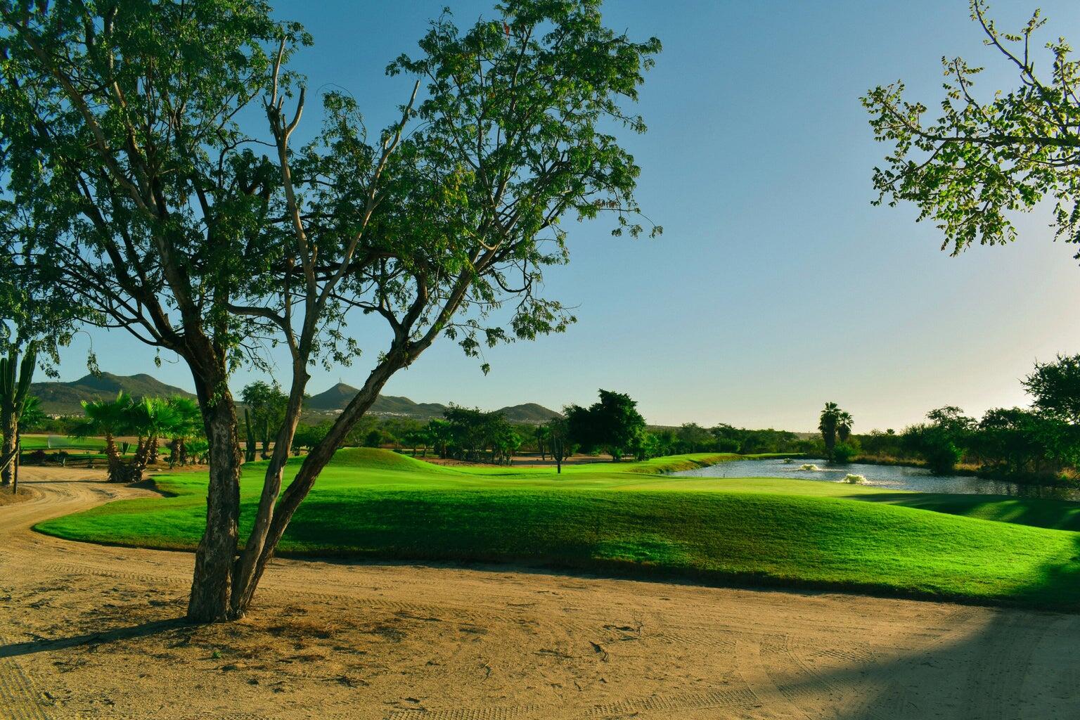 479 Cocotera, Cabo Country Club Lot 479