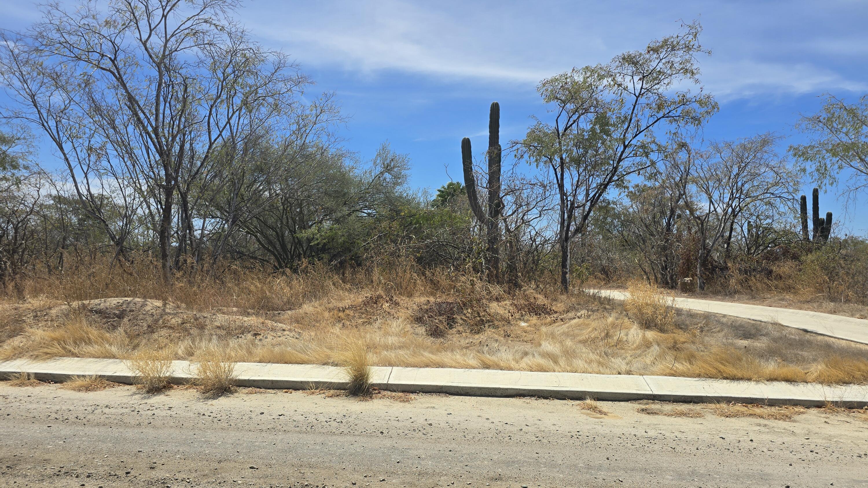 479 Cocotera, Cabo Country Club Lot 479