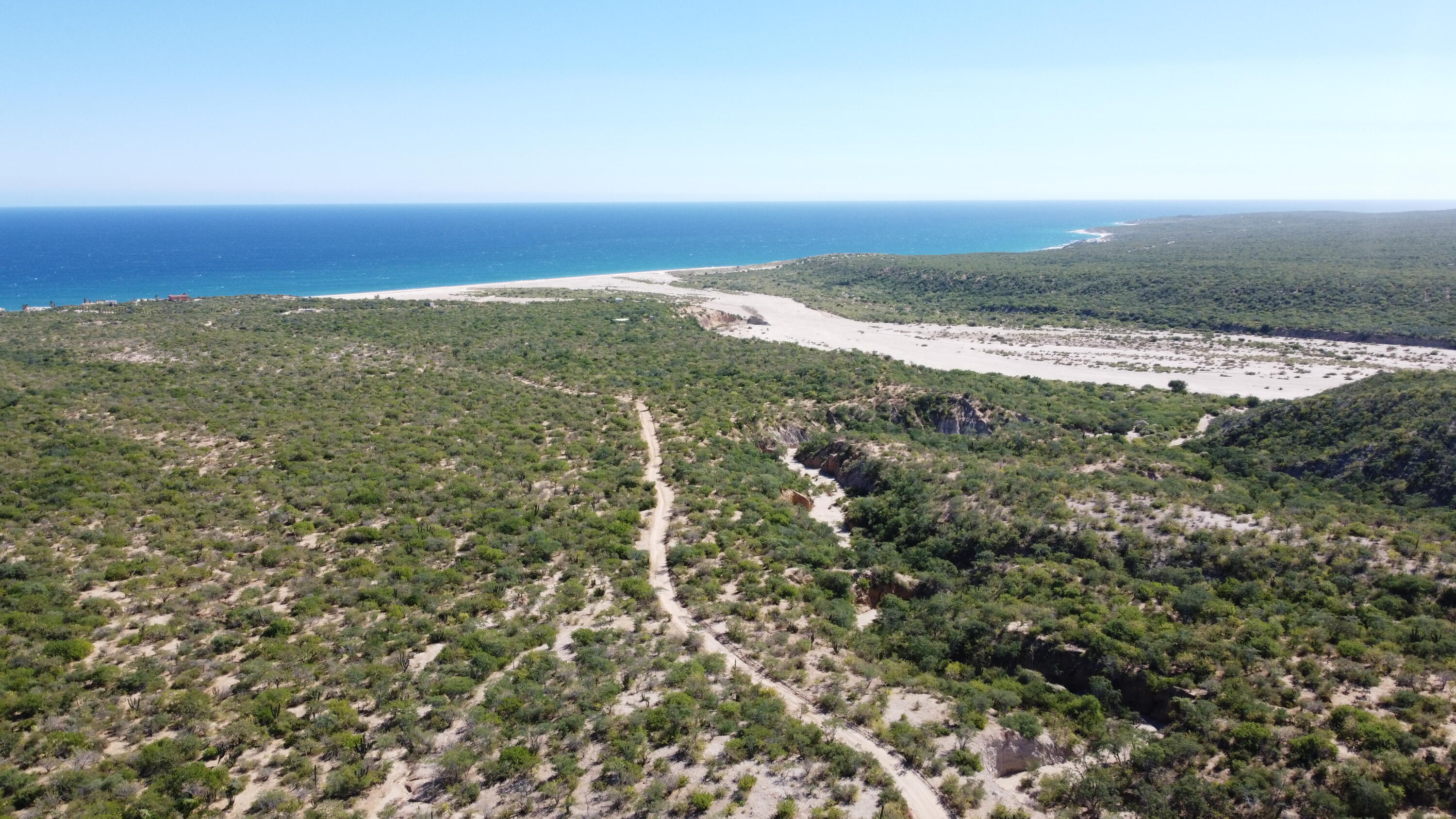 Boca Del Salado