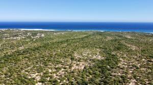 Boca Del Salado