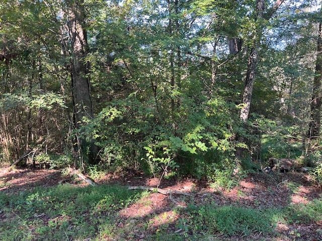 6140 PINE TOP RD