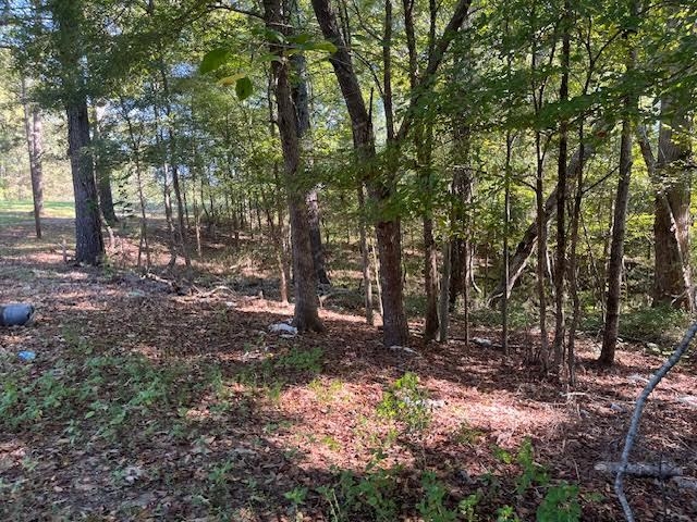6140 PINE TOP RD