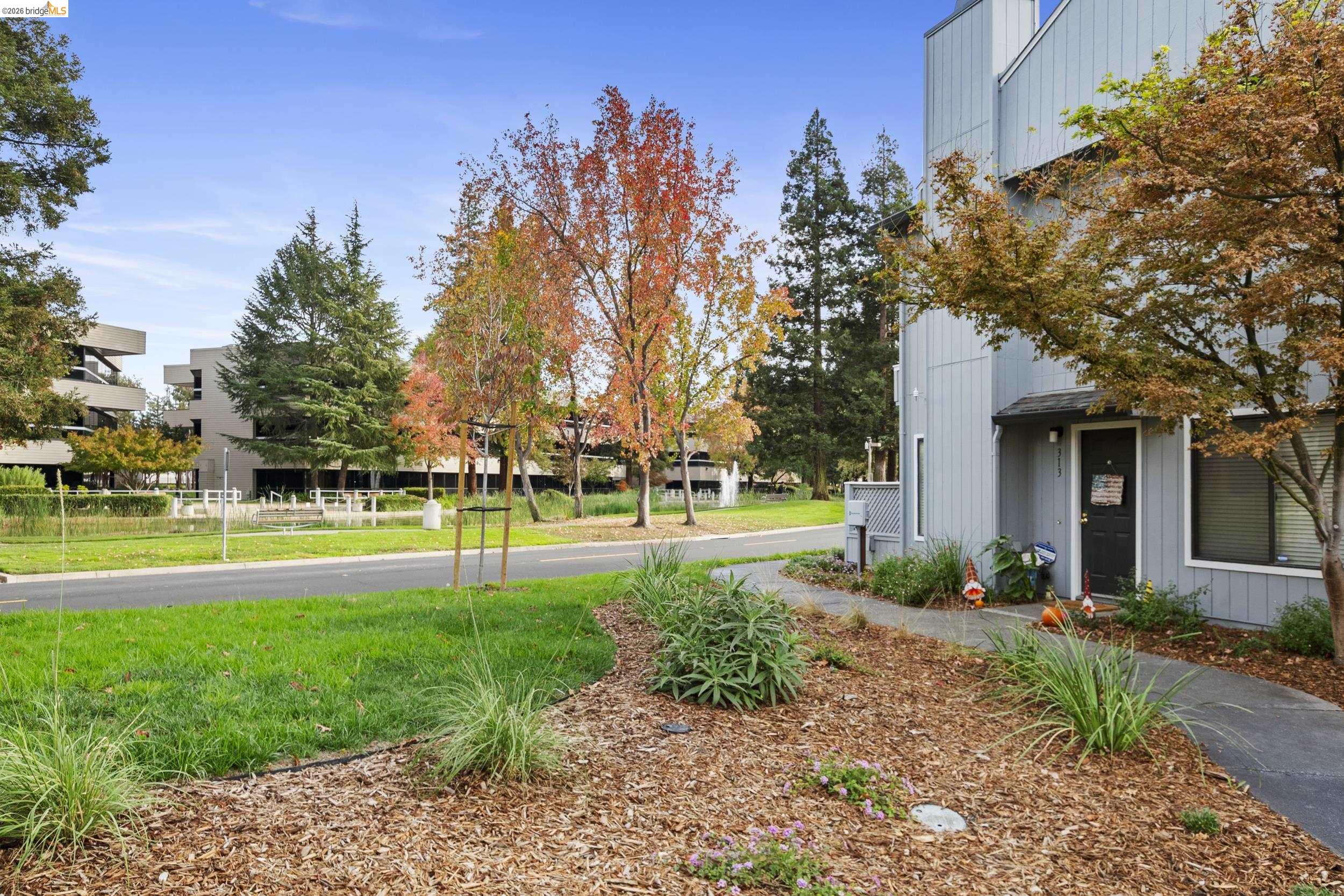 309 Rock Creek Way