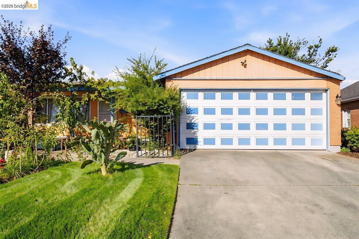 Single-story home with a wide white garage door, concrete driveway, and landscaped front garden.