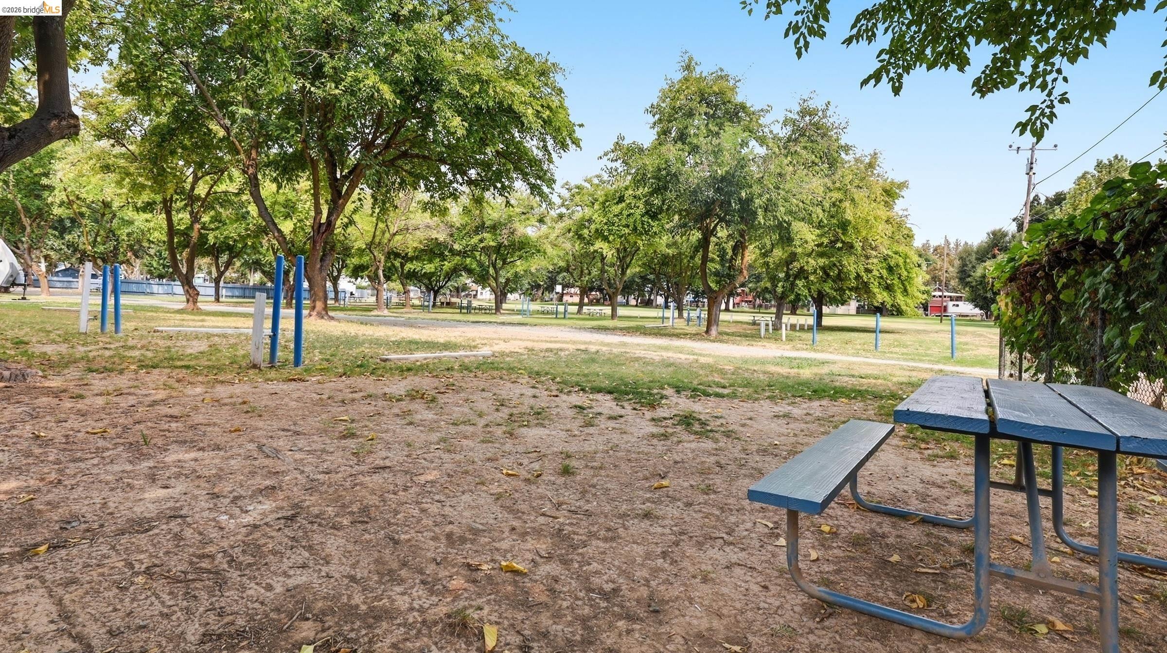 Shaded picnic area with a blue picnic table, mature trees, and open park space.