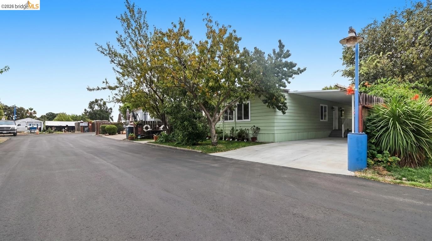Light green single-story home beside a wide paved driveway, shaded by mature trees.