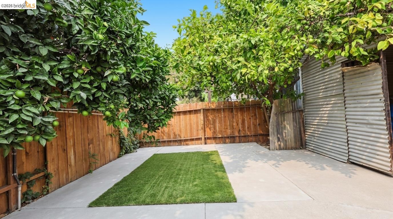 Backyard patio and lawn beneath leafy fruit trees, enclosed by a wooden fence.