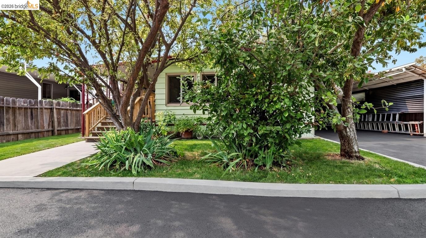 Pale green home partly hidden by mature trees, with a front lawn and covered carport.
