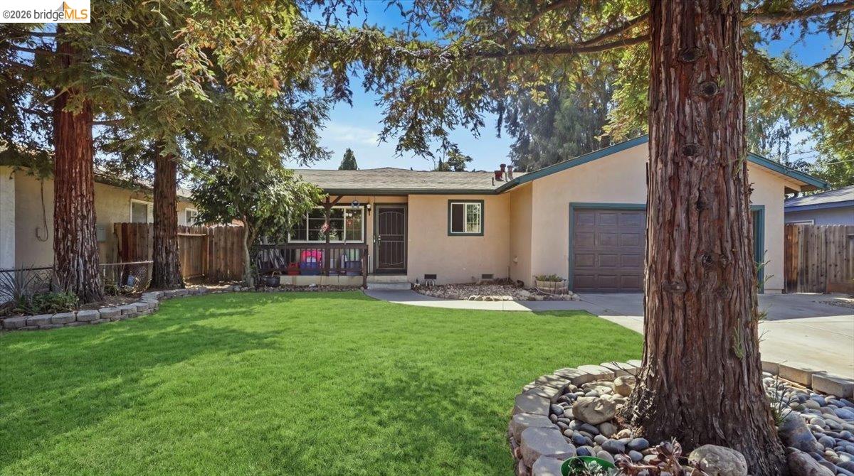 1118 Dainty Avenue