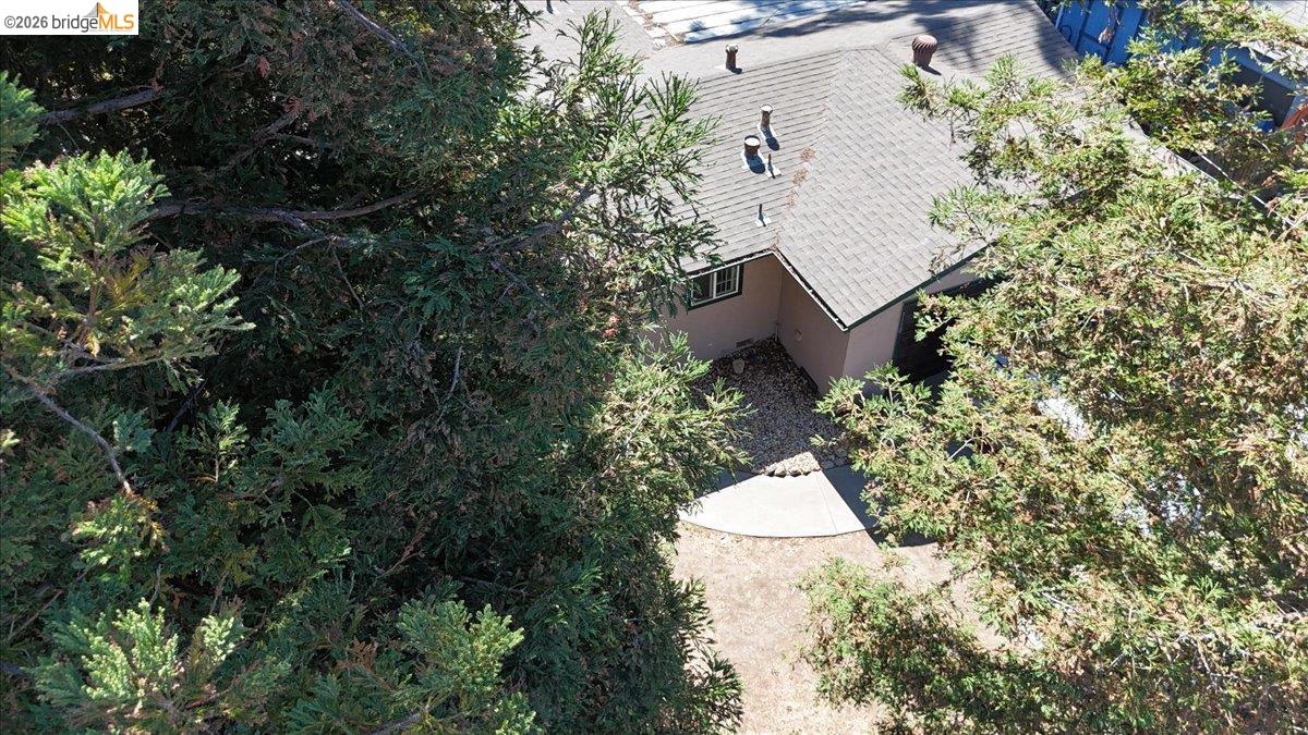 1118 Dainty Avenue