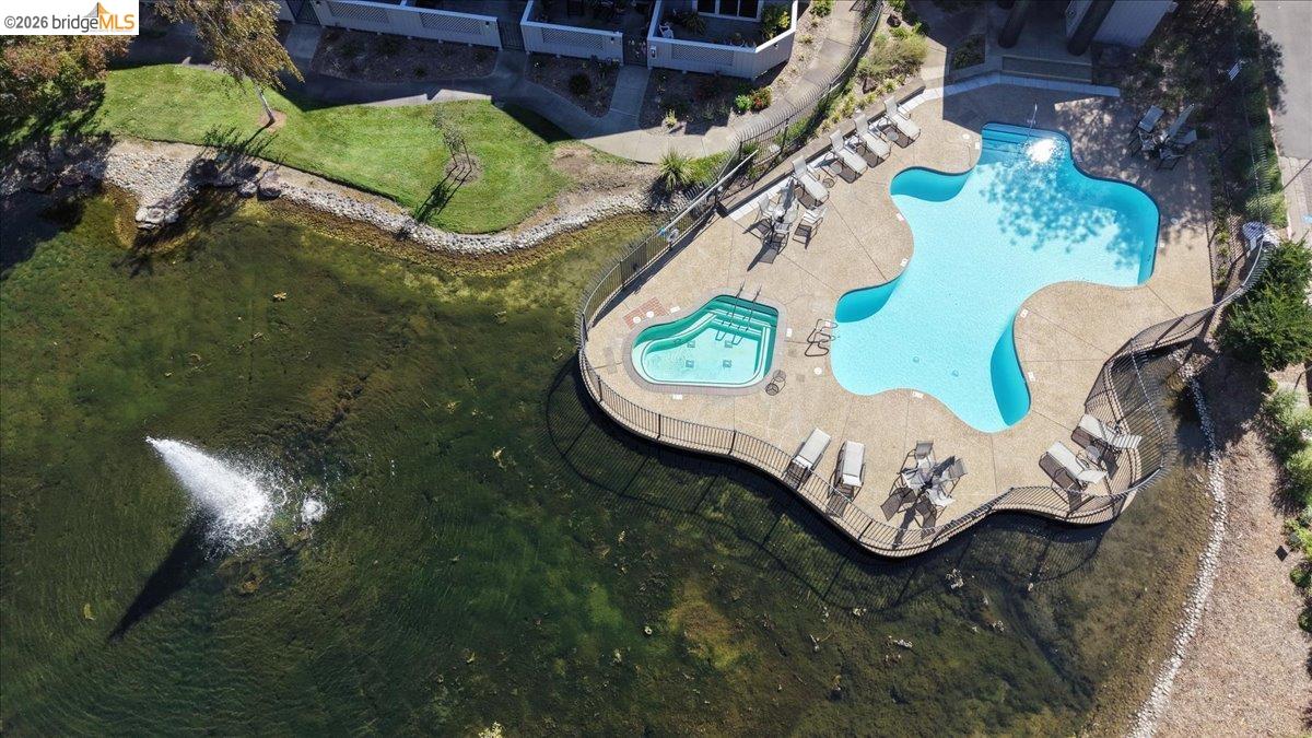 Aerial view of a curving pool and spa beside a landscaped creek.
