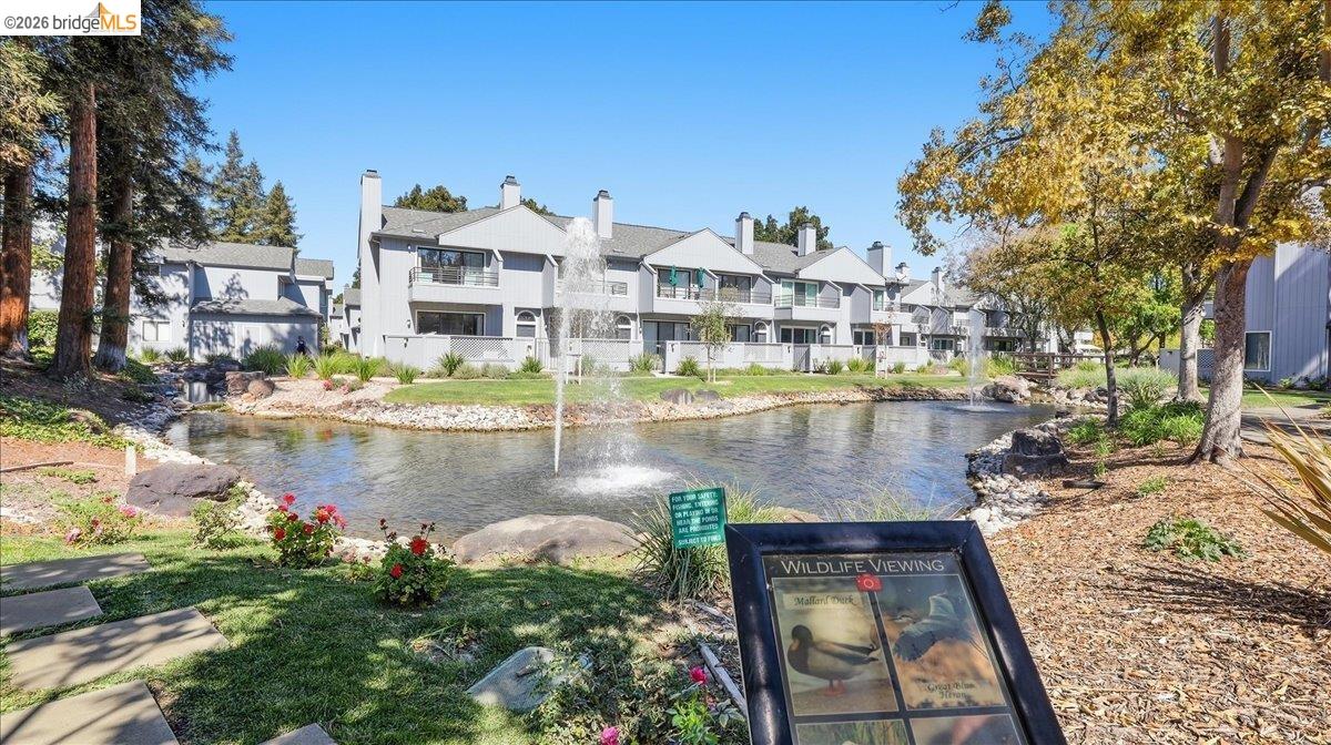 White townhomes beside a landscaped pond with a fountain and wildlife viewing sign.
