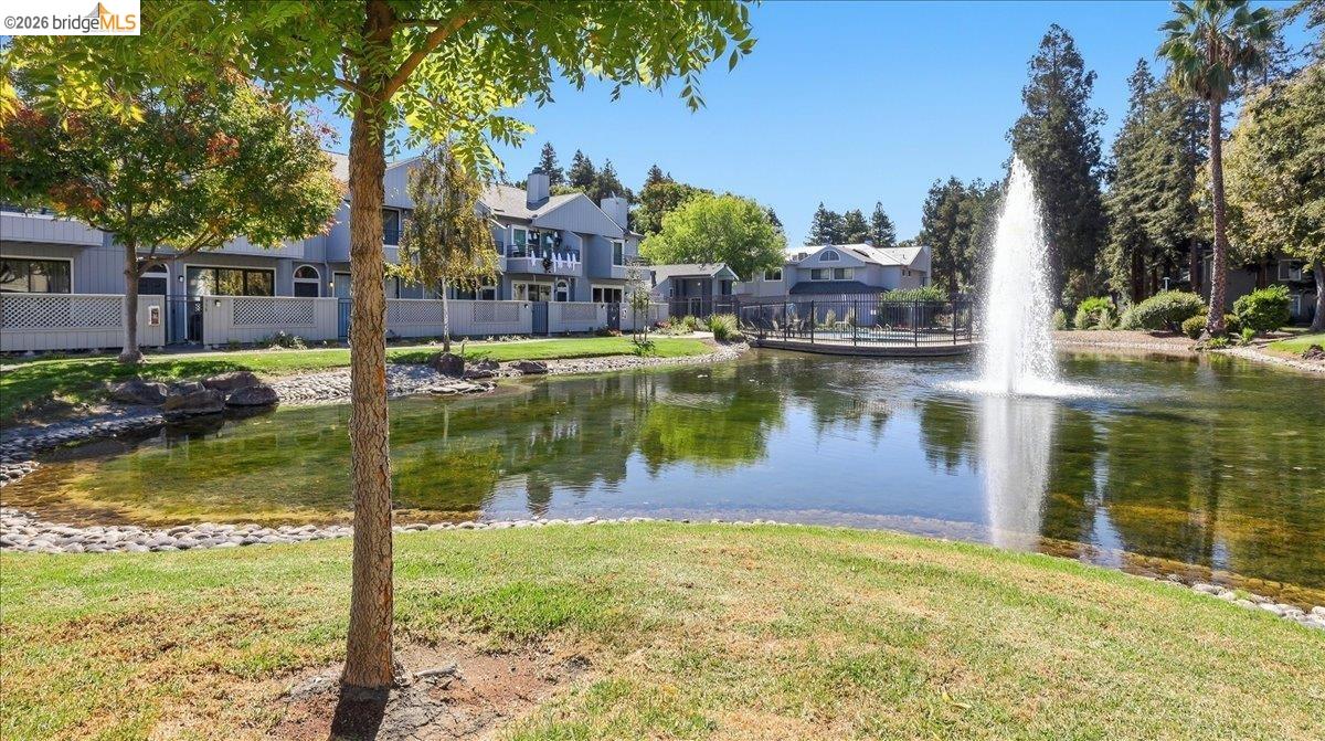 Residential pond with a tall fountain, grassy banks, and buildings across the water.