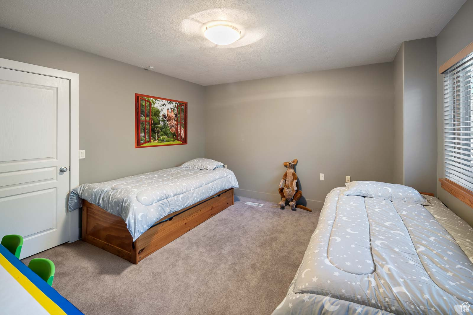 39 SCENIC HILLS CIR