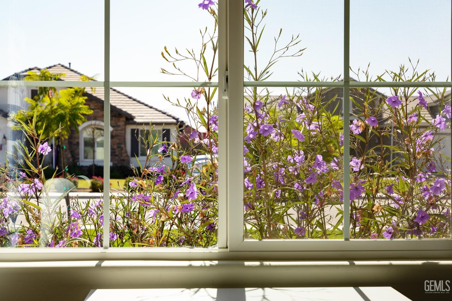 15016 Rye Field Drive