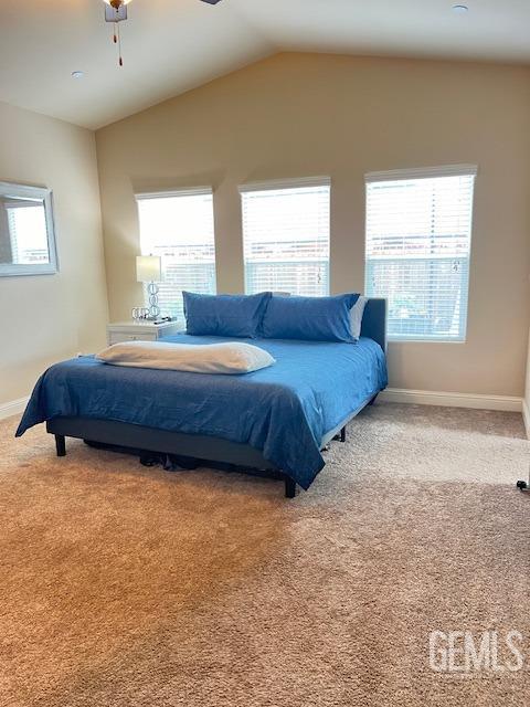 9528 Mountain Aspen Lane