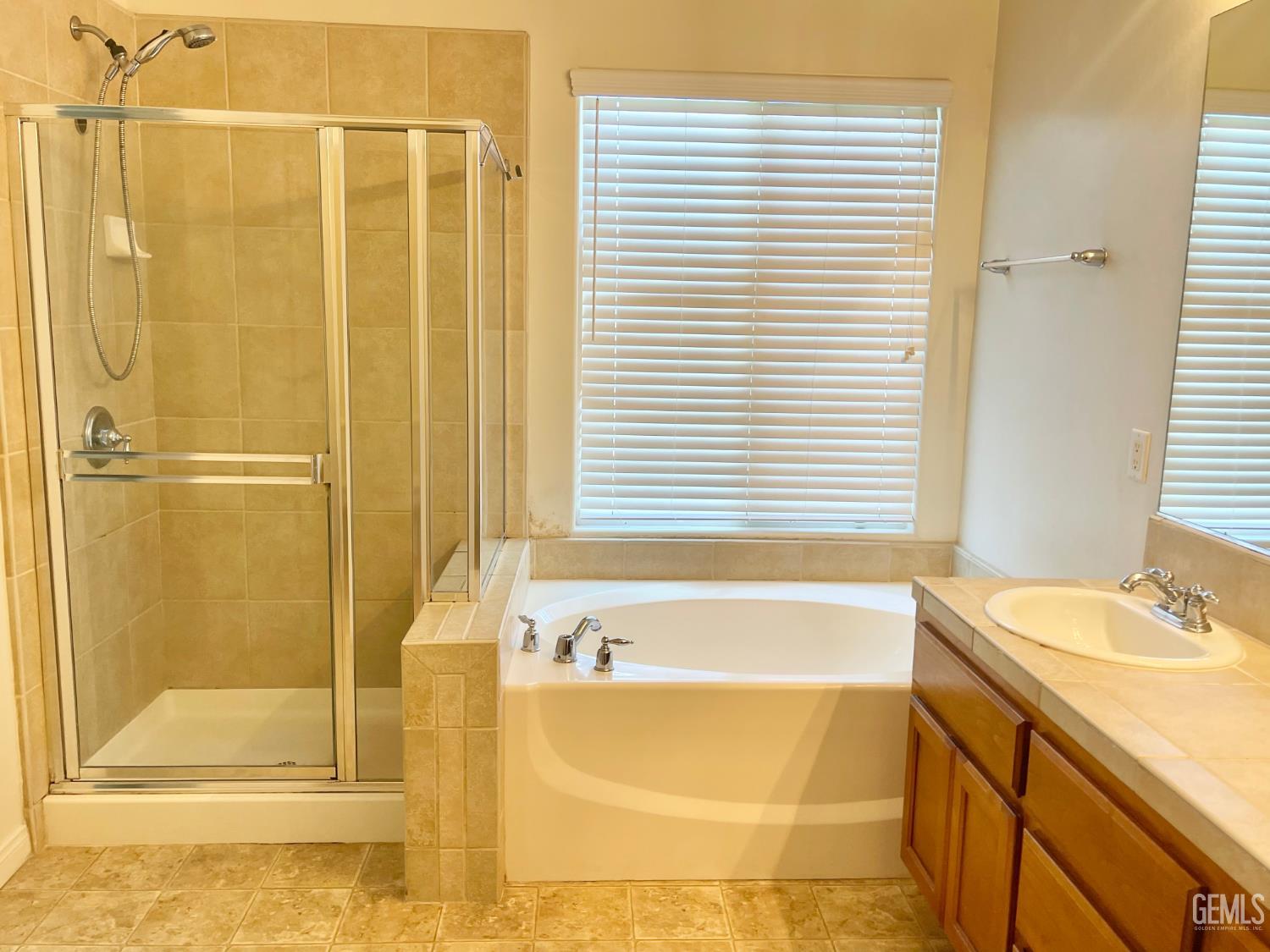 11016 Snowcreek Falls Avenue