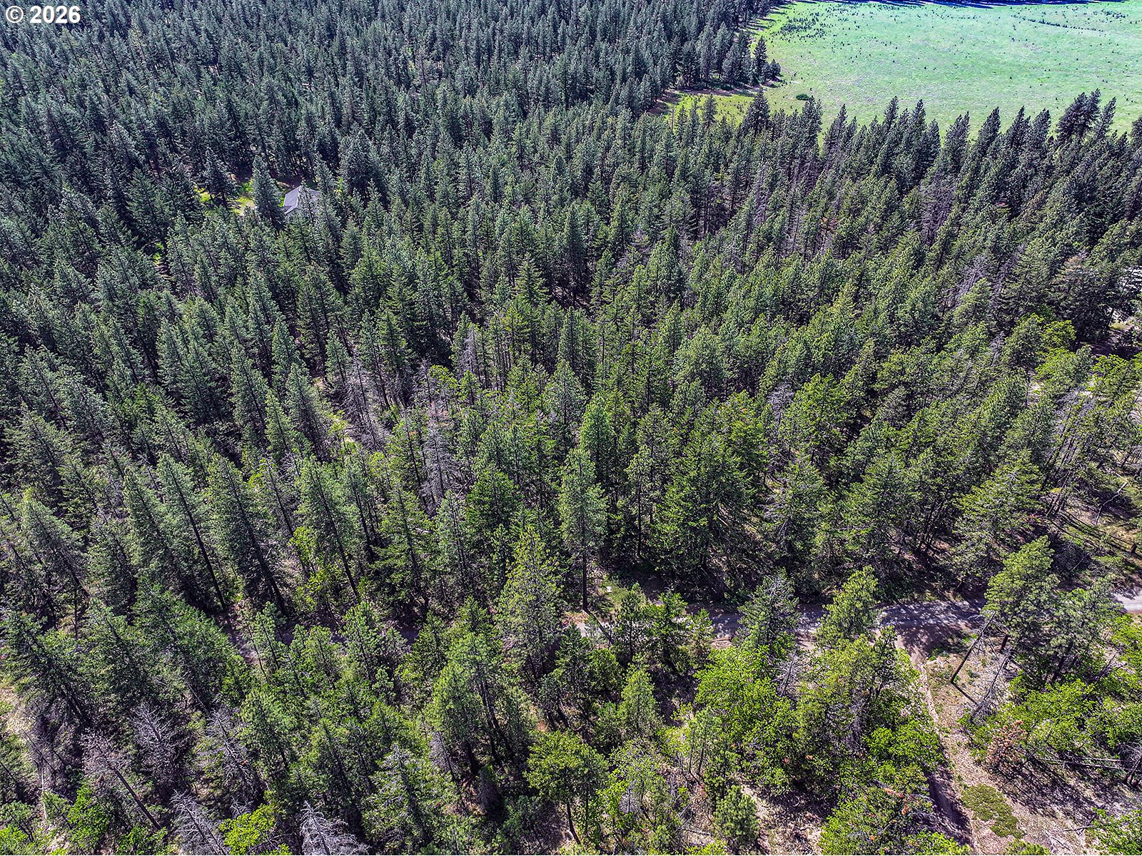 NKA Forest Glen DR #37