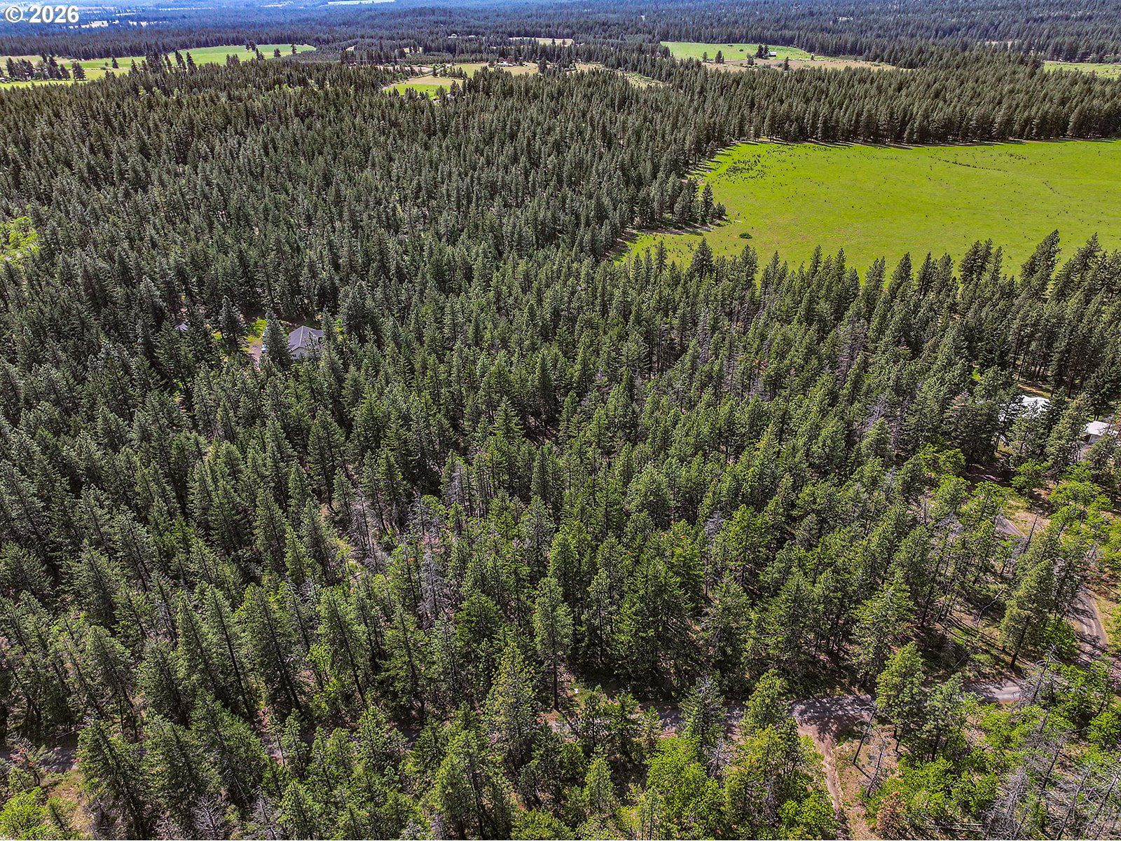 NKA Forest Glen DR #37