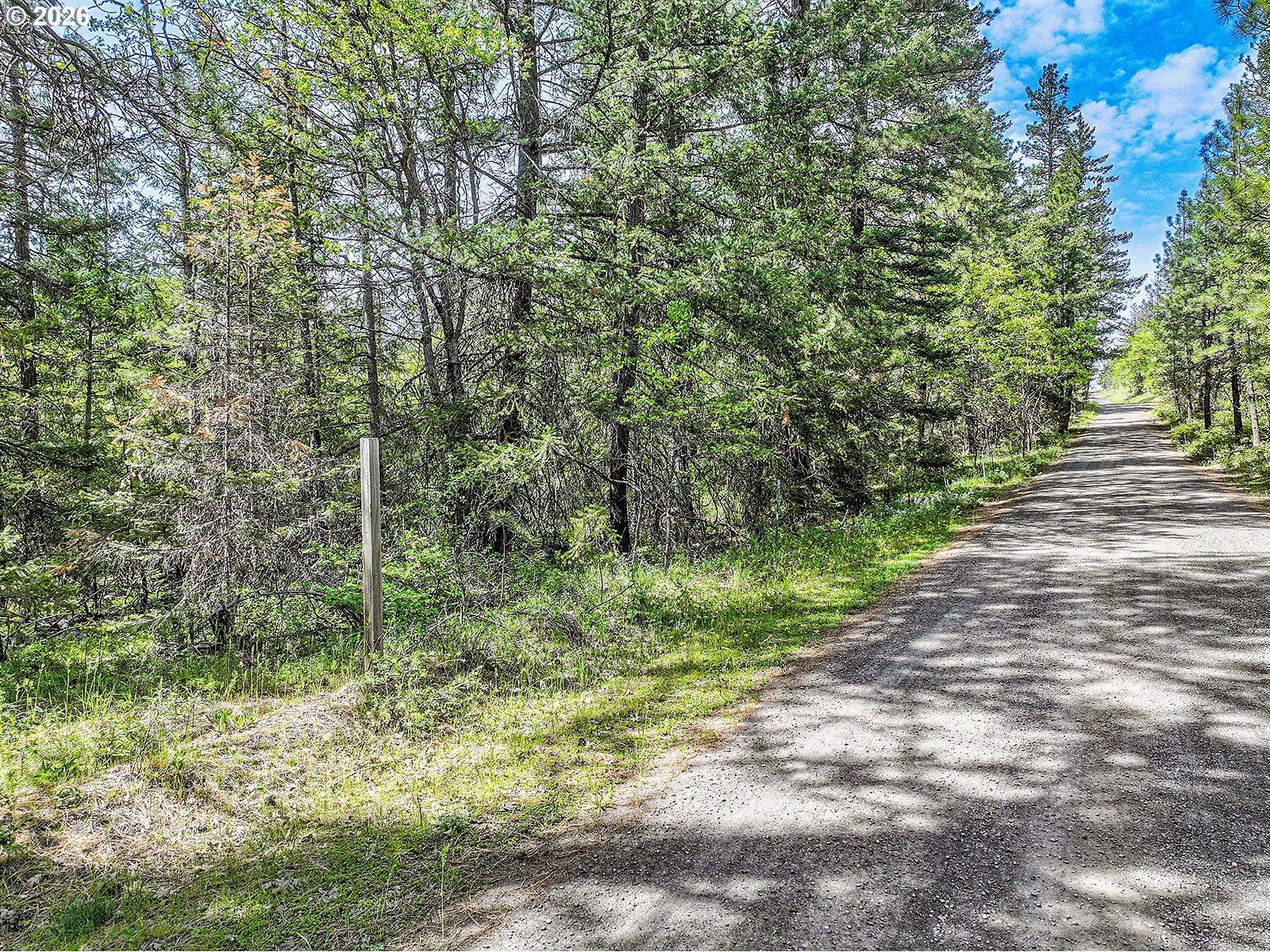 NKA Forest Glen DR #37