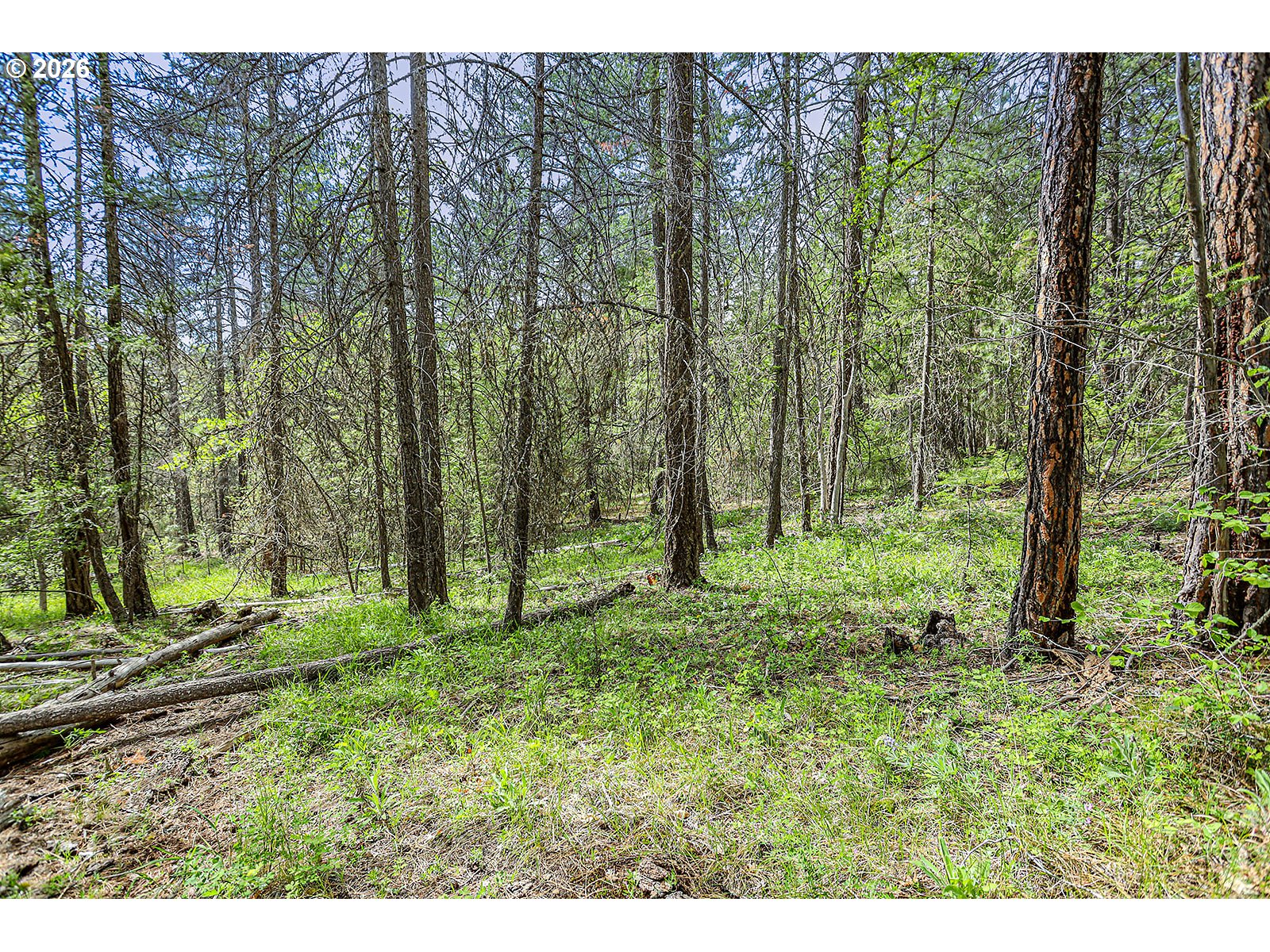 NKA Forest Glen DR #37