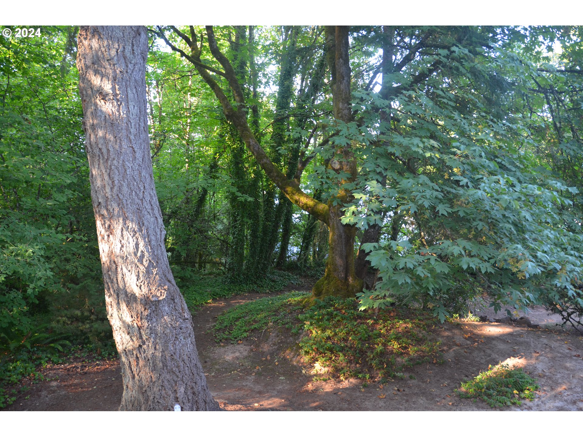 47 EAGLE CREST DR 42