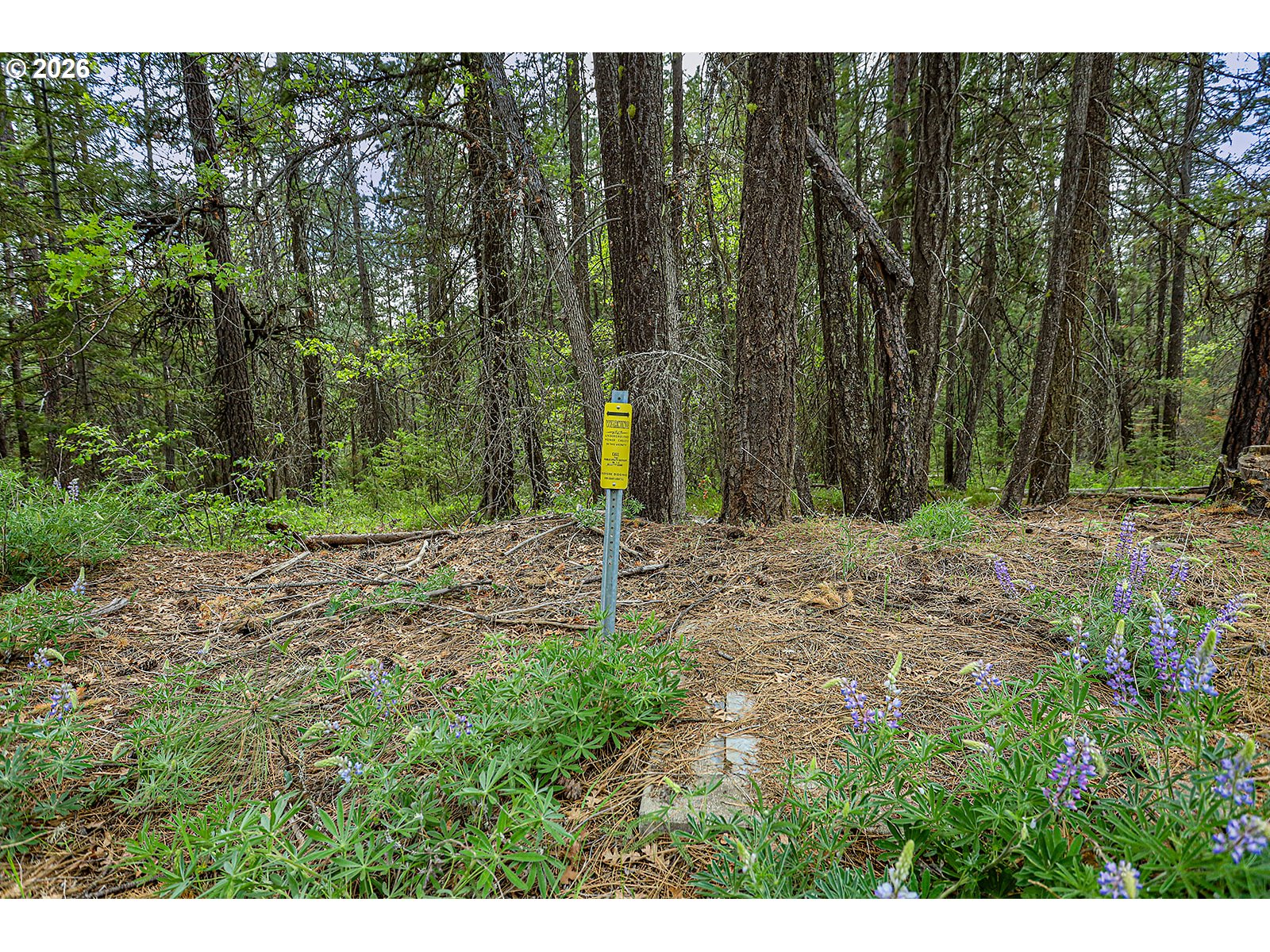 NKA Forest Glen DR #38
