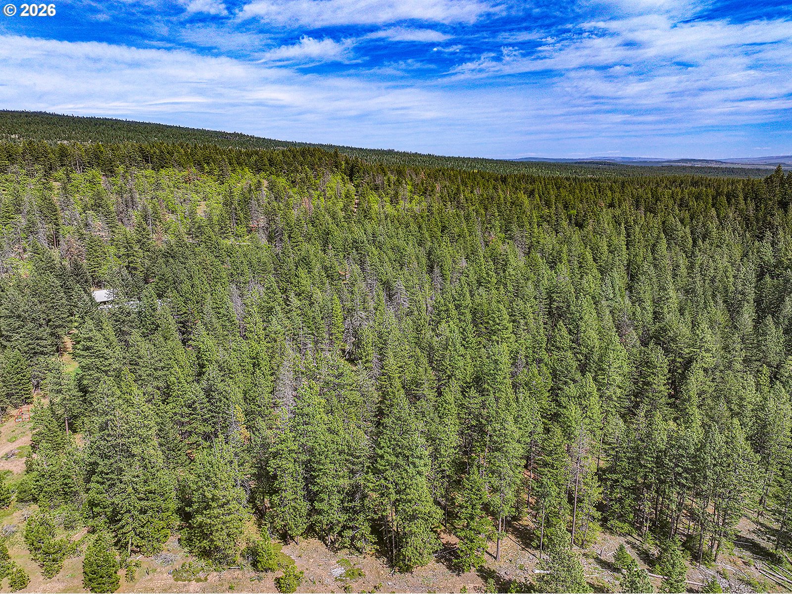 NKA Forest Glen DR #38